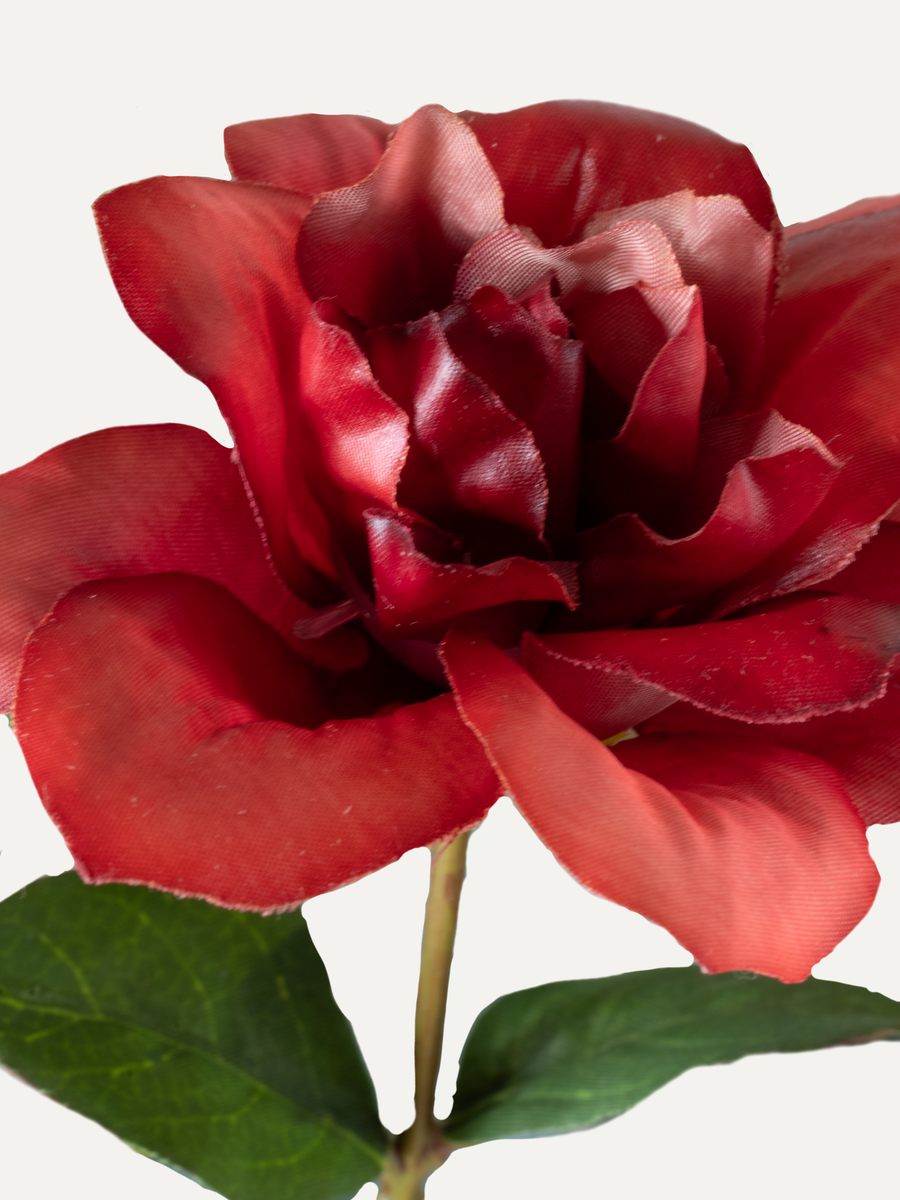 Bouquet "Bellante" - Grösse L