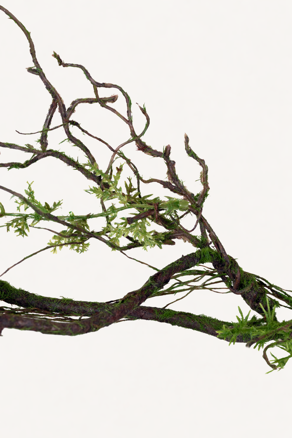 Branche en bois 142 cm 1 pc - branche artificielle