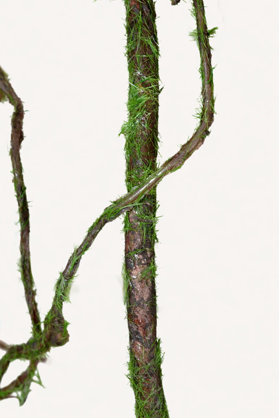 Holzast 142 cm 1. Stk - Kunstzweig