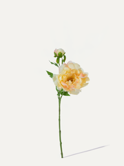 Pivoine 65 cm 1 pc - Fleur artificielle