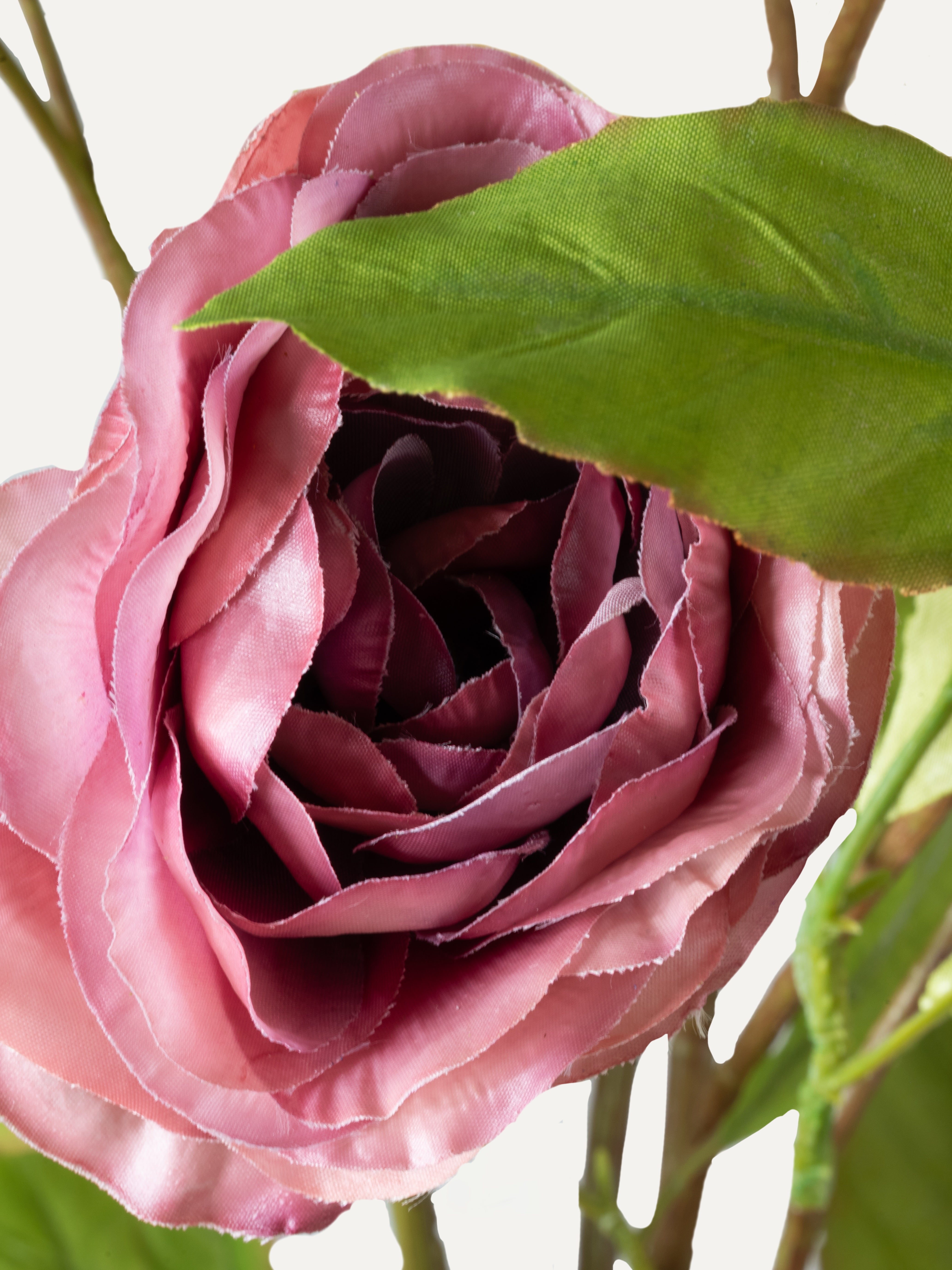 Bouquet "Pesaro" - Size L
