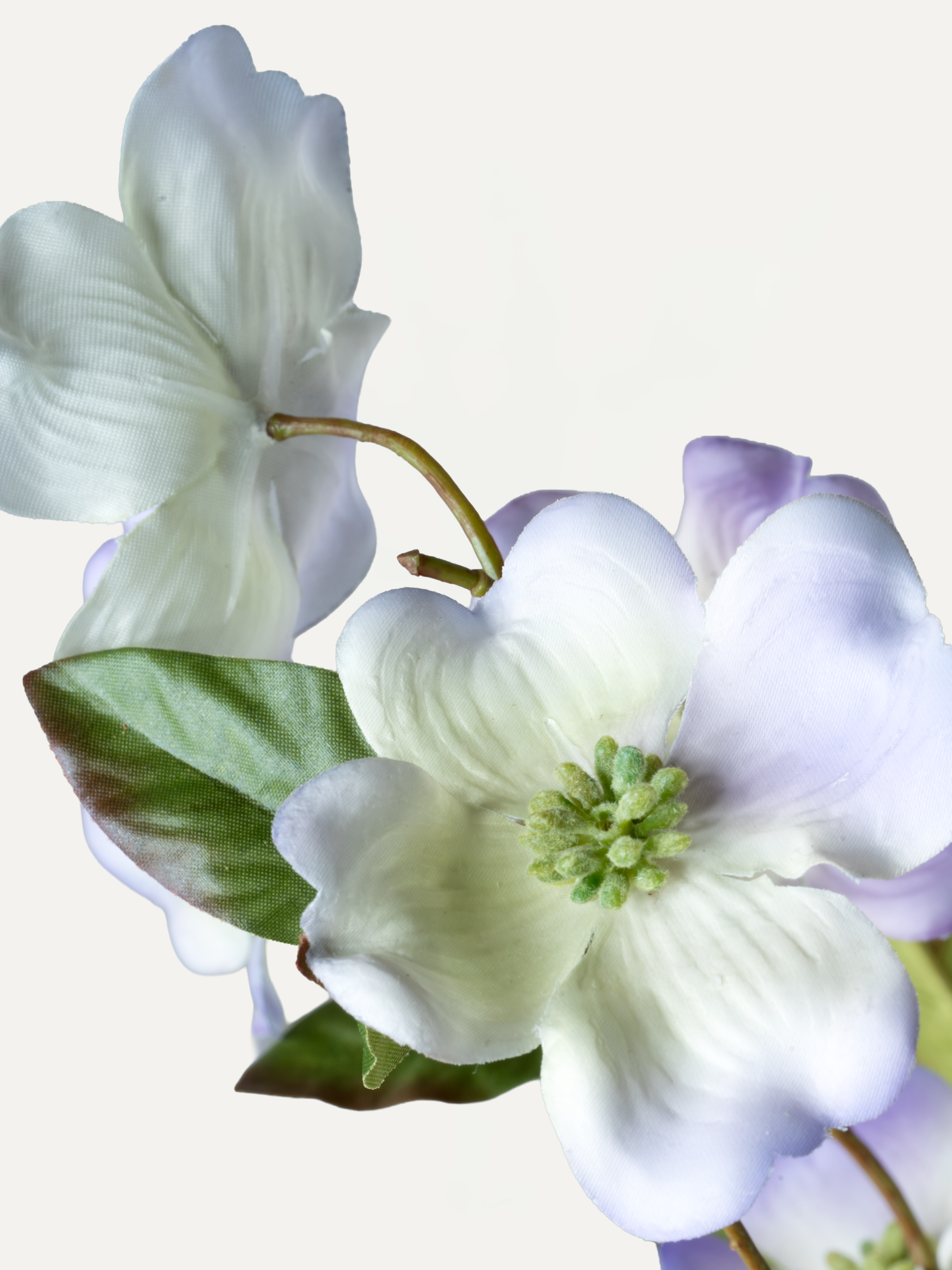 Bouquet "Pesaro" - Size L