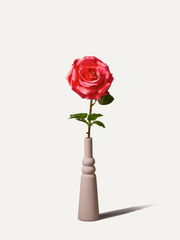 The Solo No.8 - Kunstblume inkl. Vase