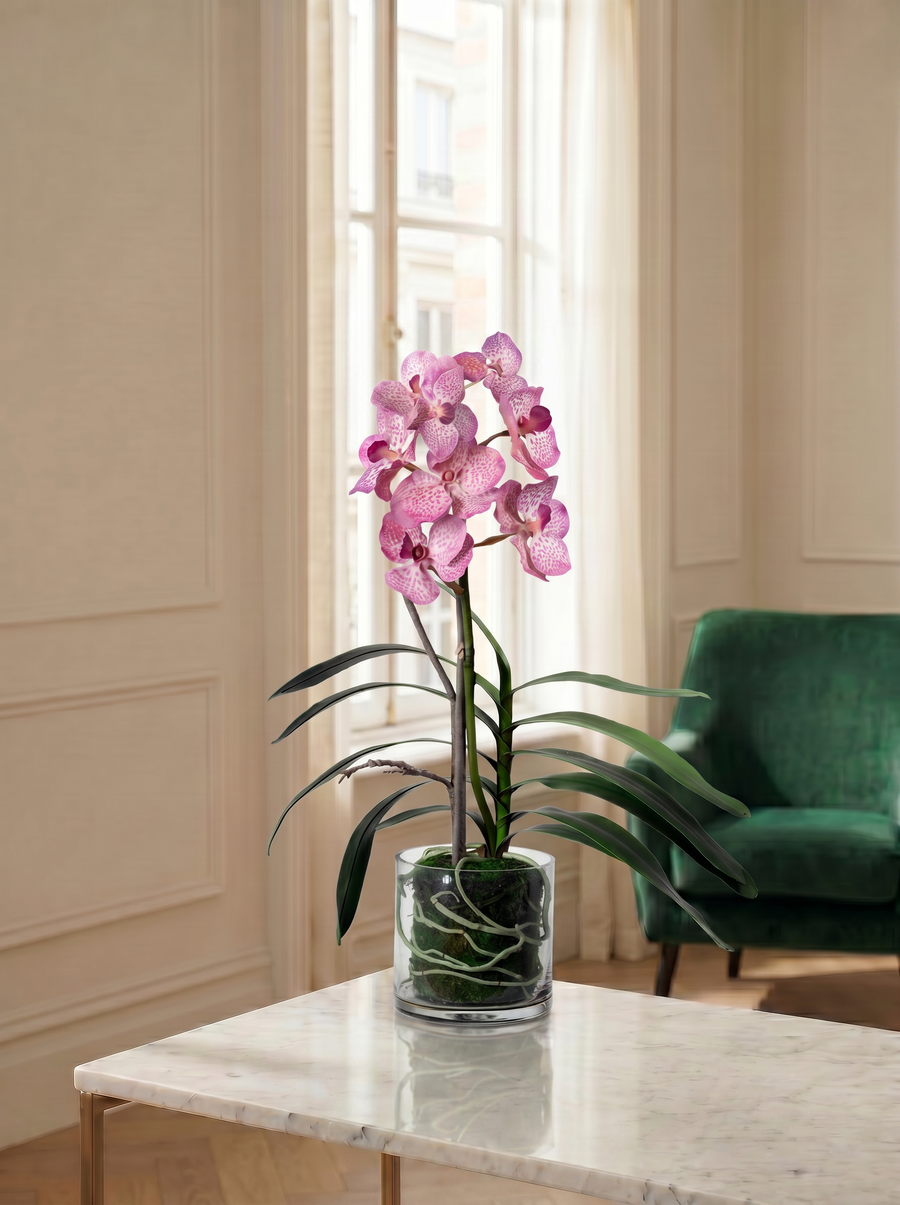 Orchidee inkl. Glasvase - Grösse M