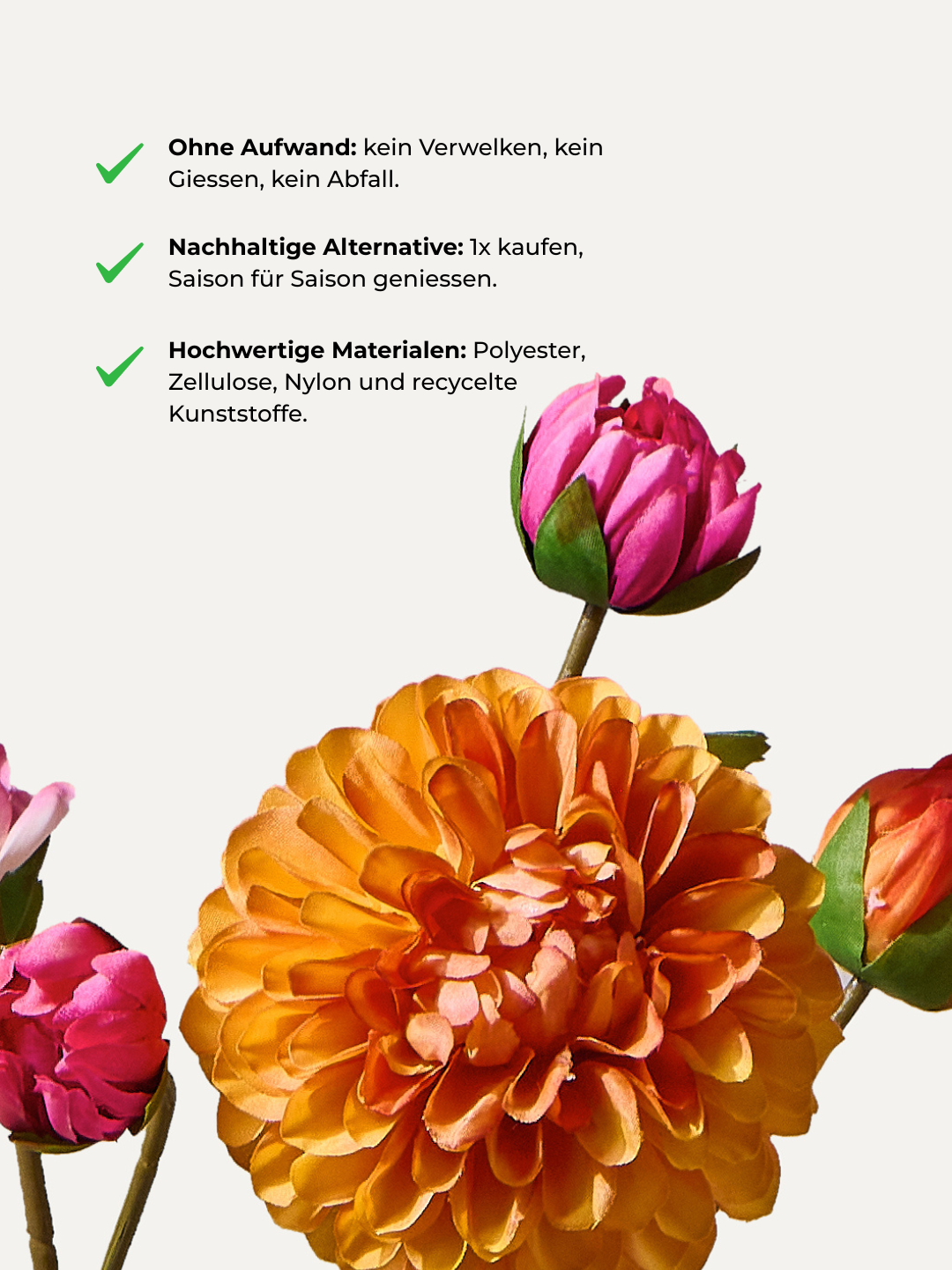 The Raspberry - Grösse M