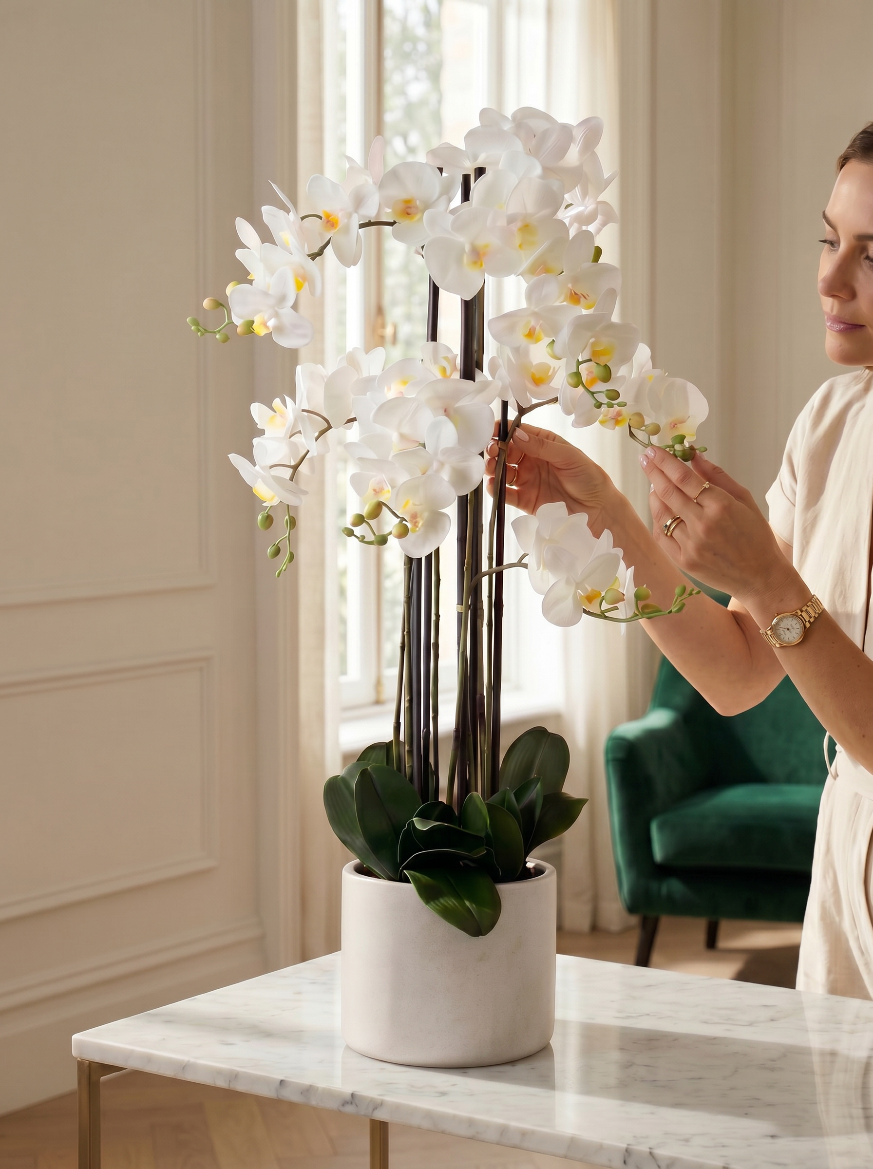 Orchid including pot – Size L