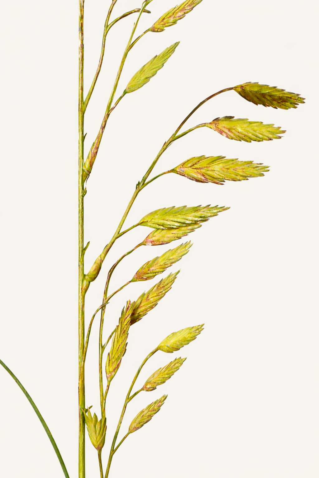 Gras Zweig 108 cm 1 Stk. - Kunstzweig