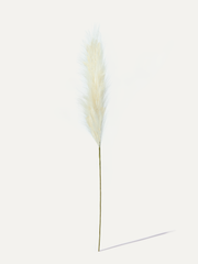 Pampas 115 cm 1 Stk. - Kunstzweig