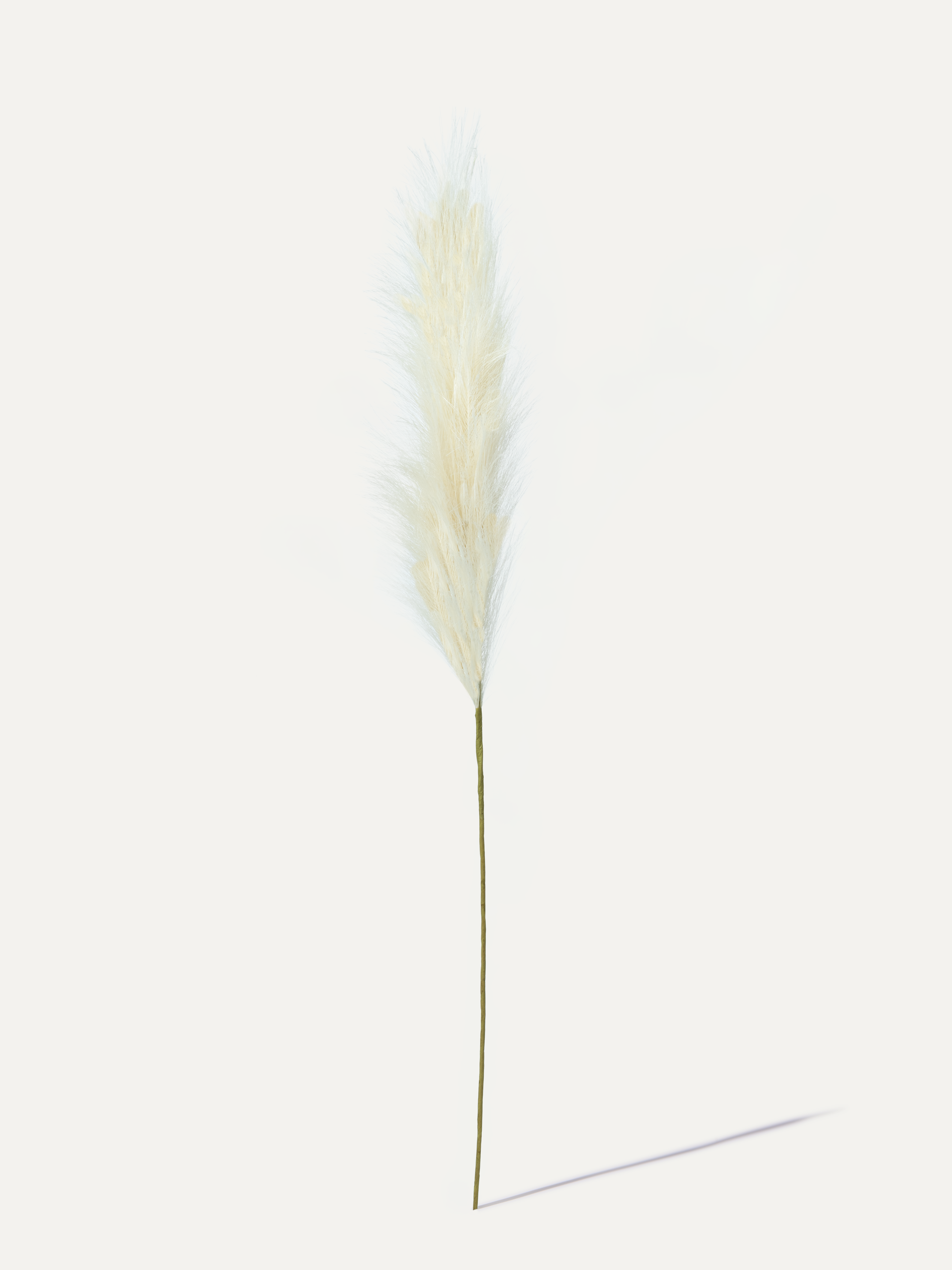 Pampas 115 cm 1 Stk. - Kunstzweig