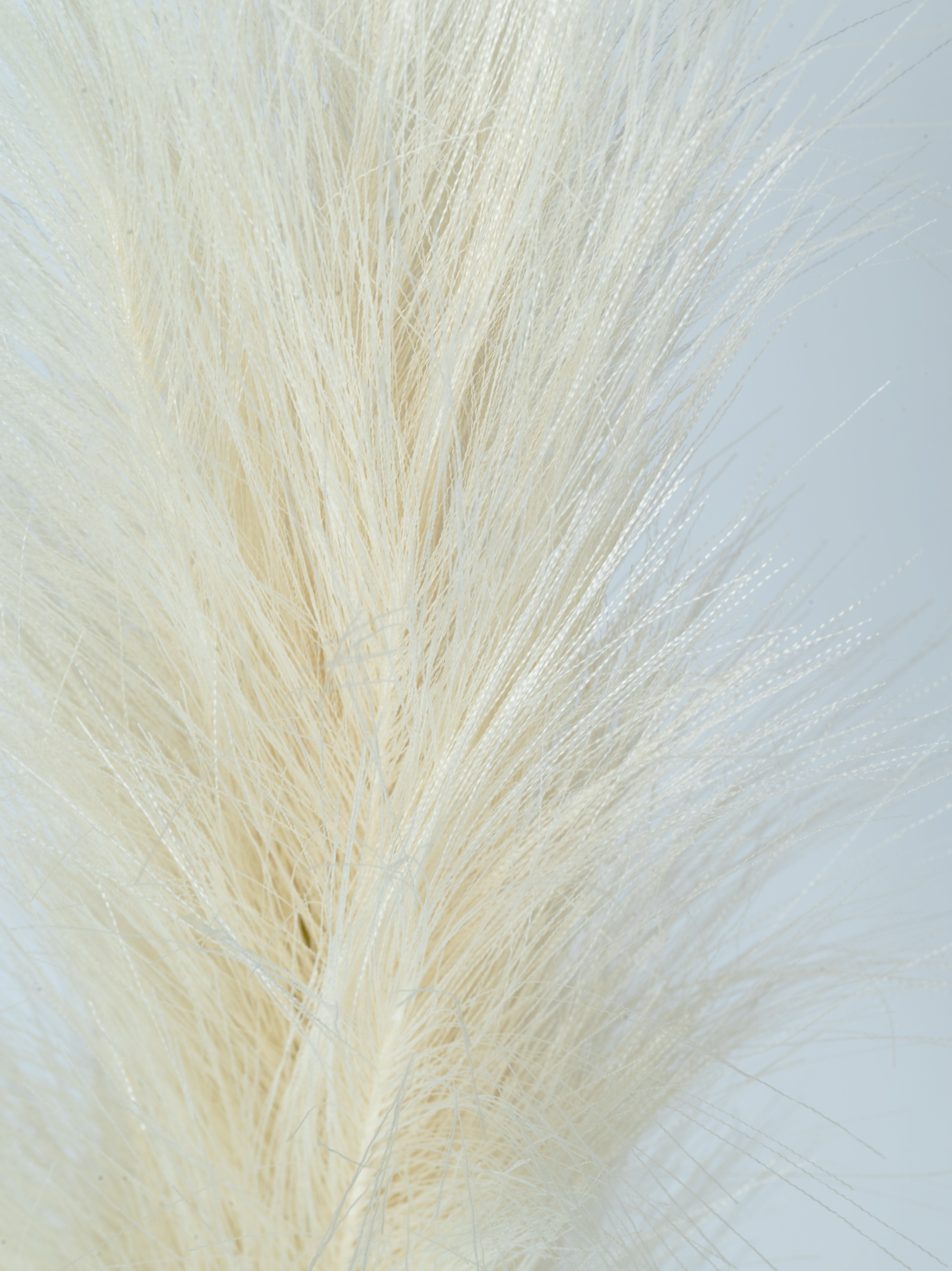 Pampas 115 cm 1 Stk. - Kunstzweig