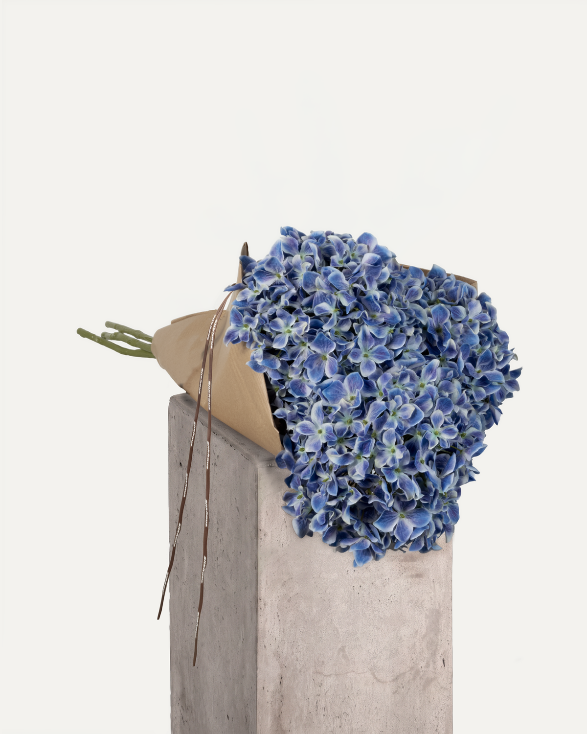 Hortensien Bouquet "Blau"