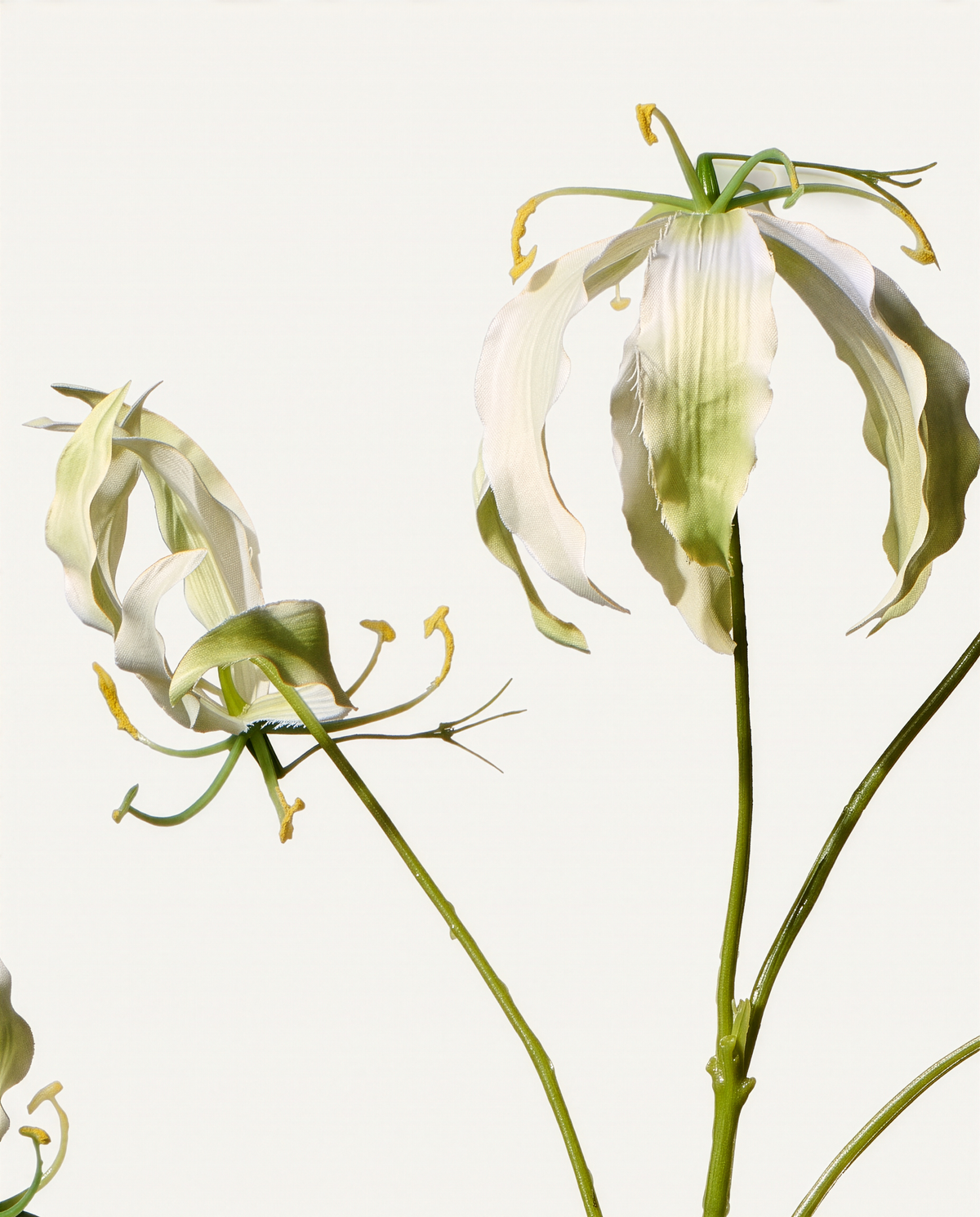 Gloriosa-Zweig 89 cm 1 Stk. - Kunstblume