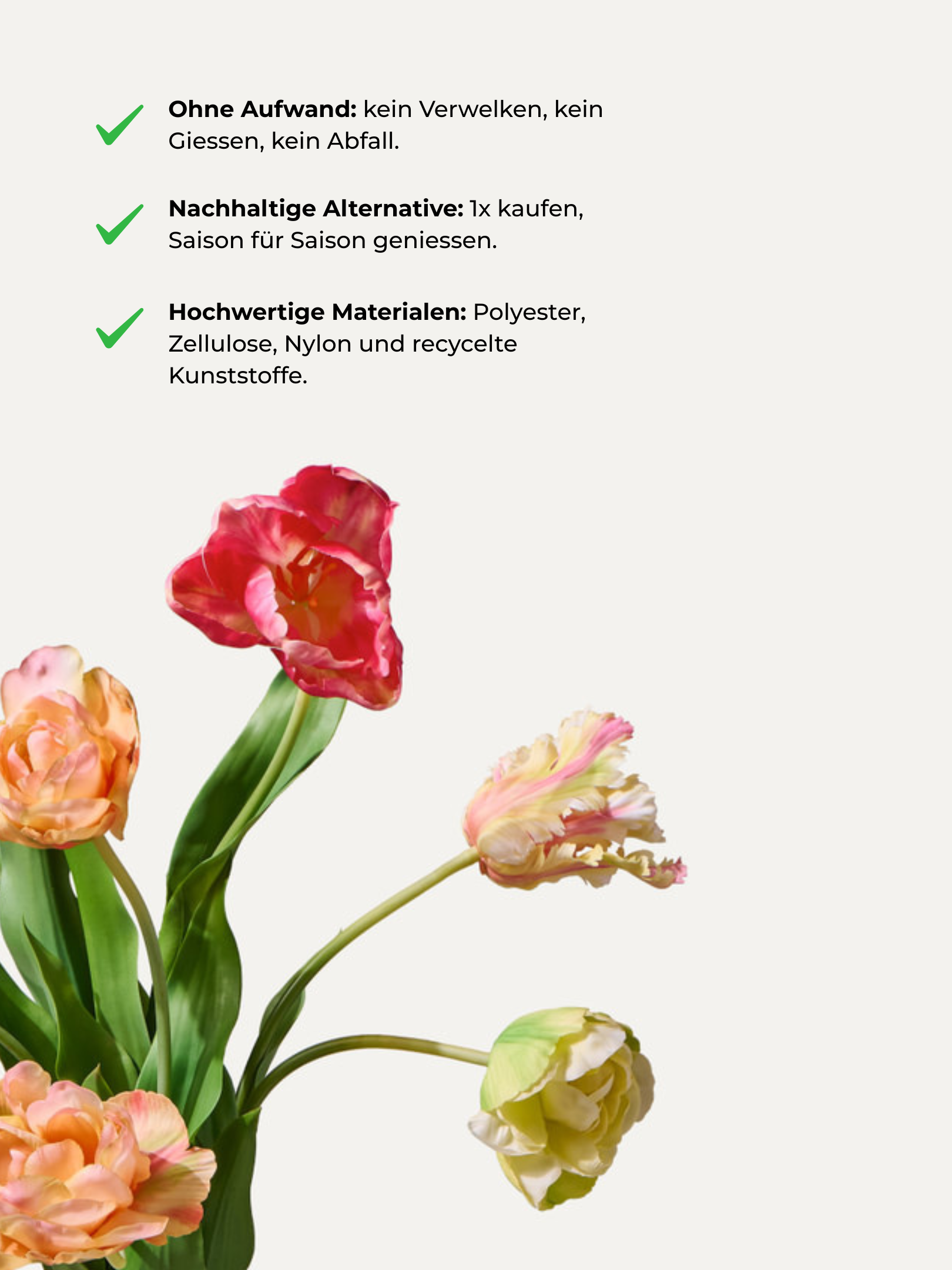 The Sorbet - Grösse M