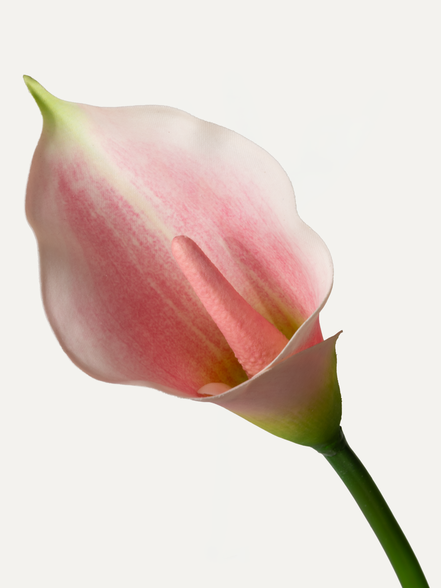 Kalla 65 cm 1 piece - artificial flower 