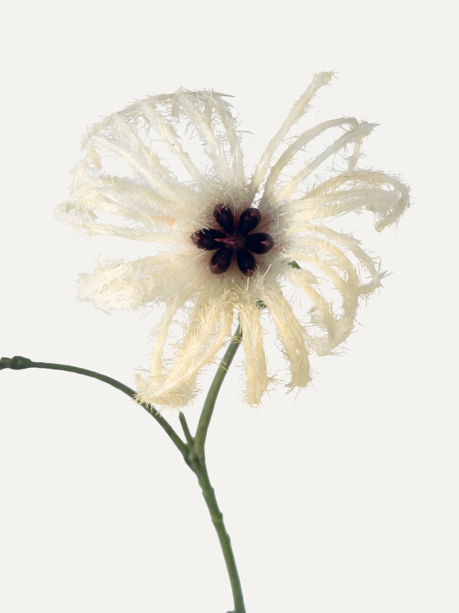 Clematis 107 cm 1 piece - artificial flower