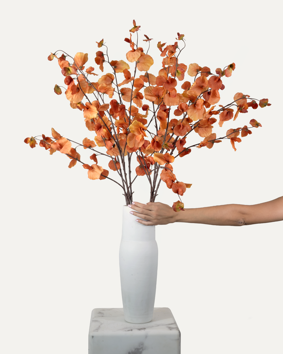 Platterbse 110 cm 1 Stk. - Kunstzweig