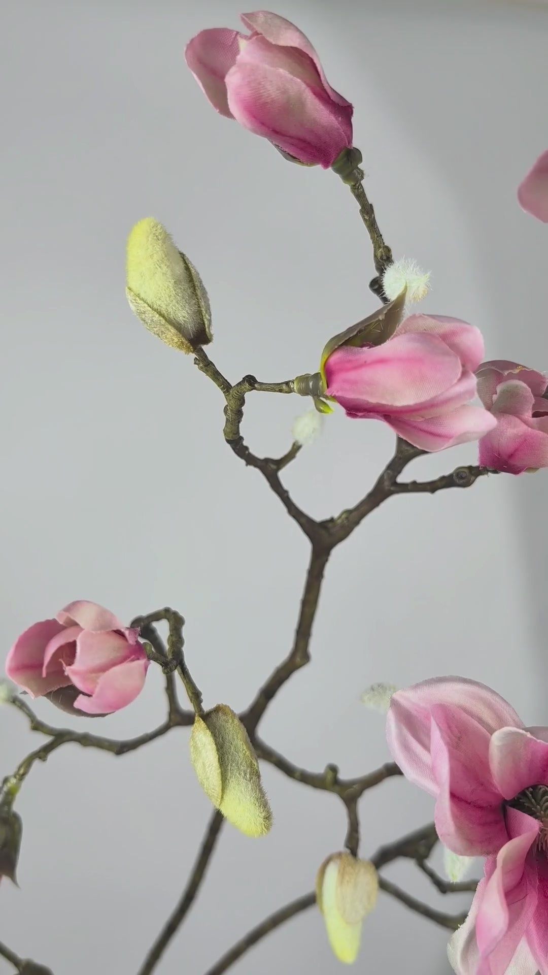Load video: Magnolia Branch 123 cm 1 pc. - Artificial Branch
