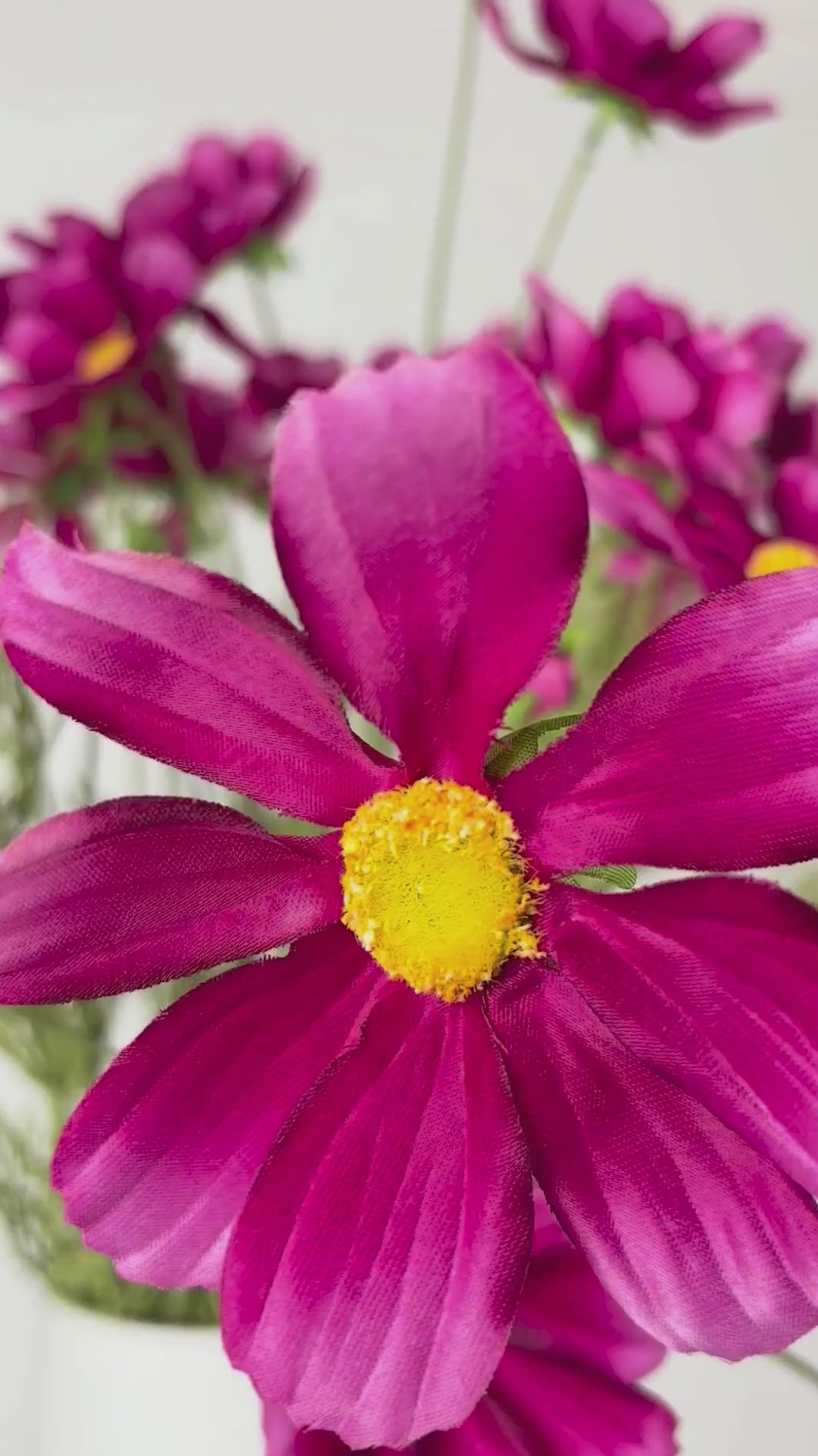 Charger la vidéo : Cosmos 92 cm 1 pièce - fleur artificielle