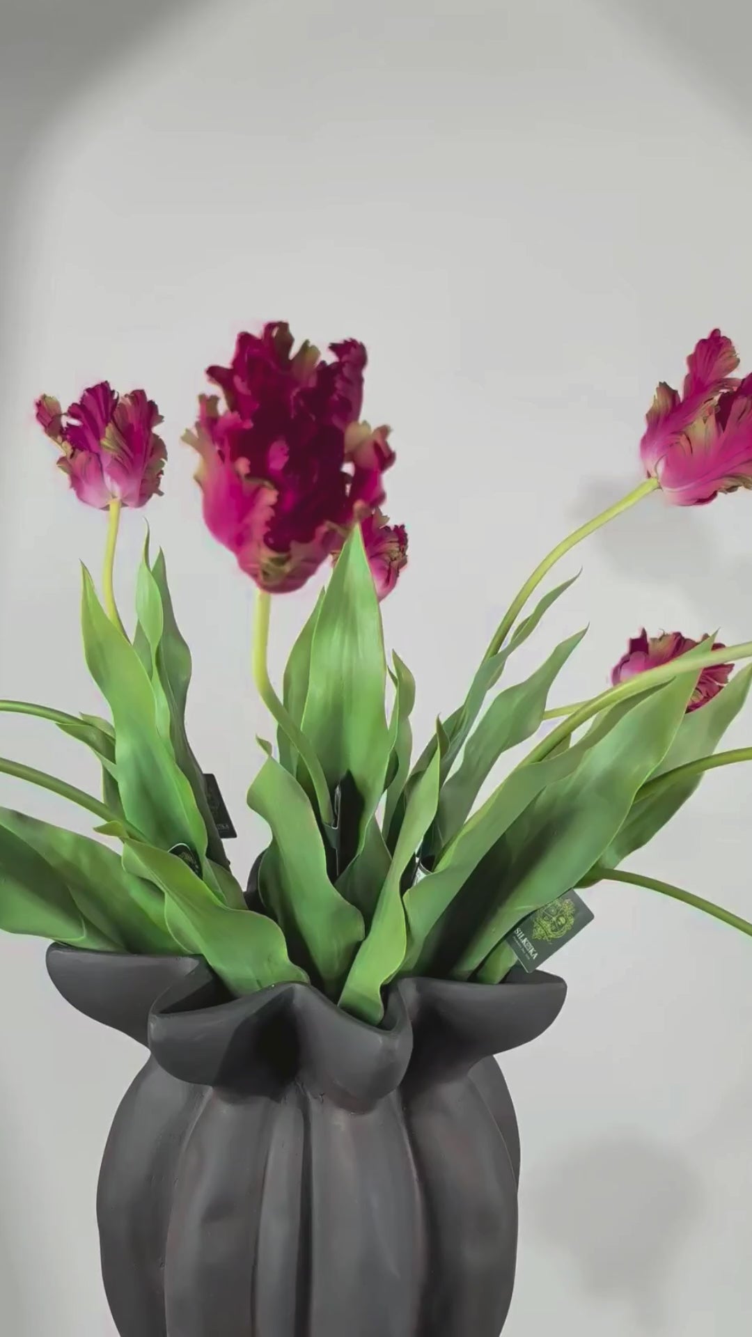Load video: The Haus No.14 inkl. Vase
