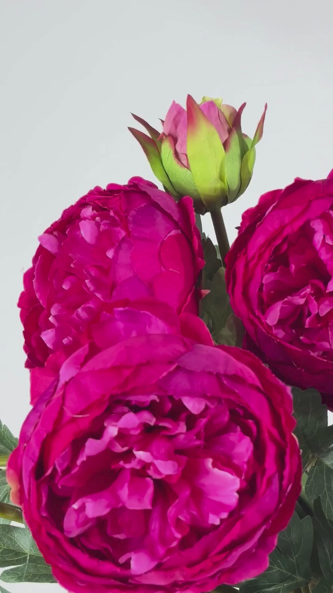 Load video: Peony 78 cm 1 pc. - Artificial flower 