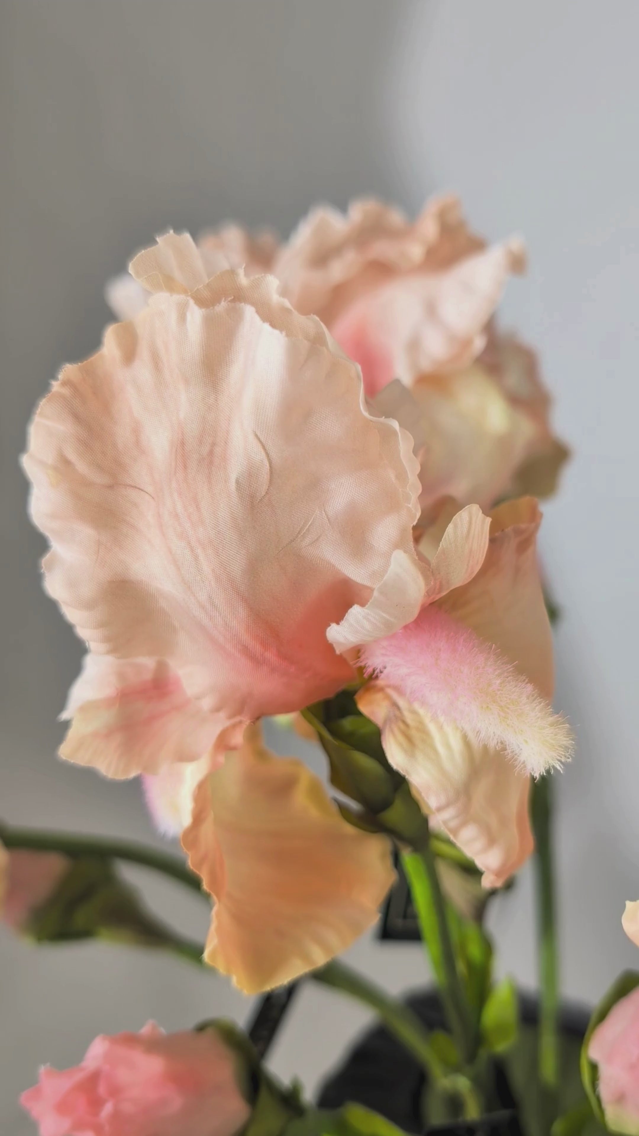 Charger la vidéo : Iris 80 cm 1 pce. - Fleur artificielle