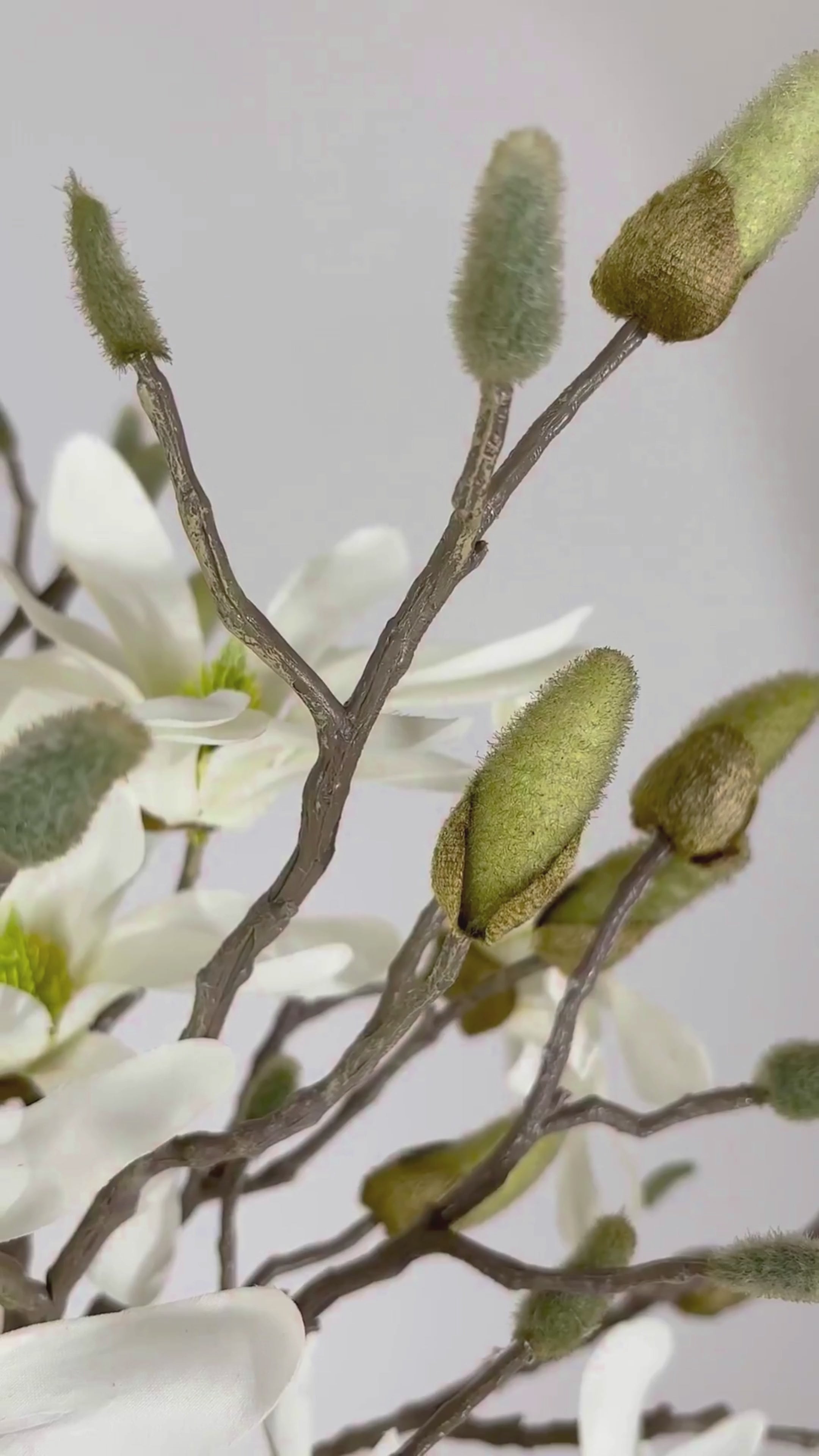 Charger la vidéo : Branche de magnolia 71 cm, 1 pièce - branche artificielle 