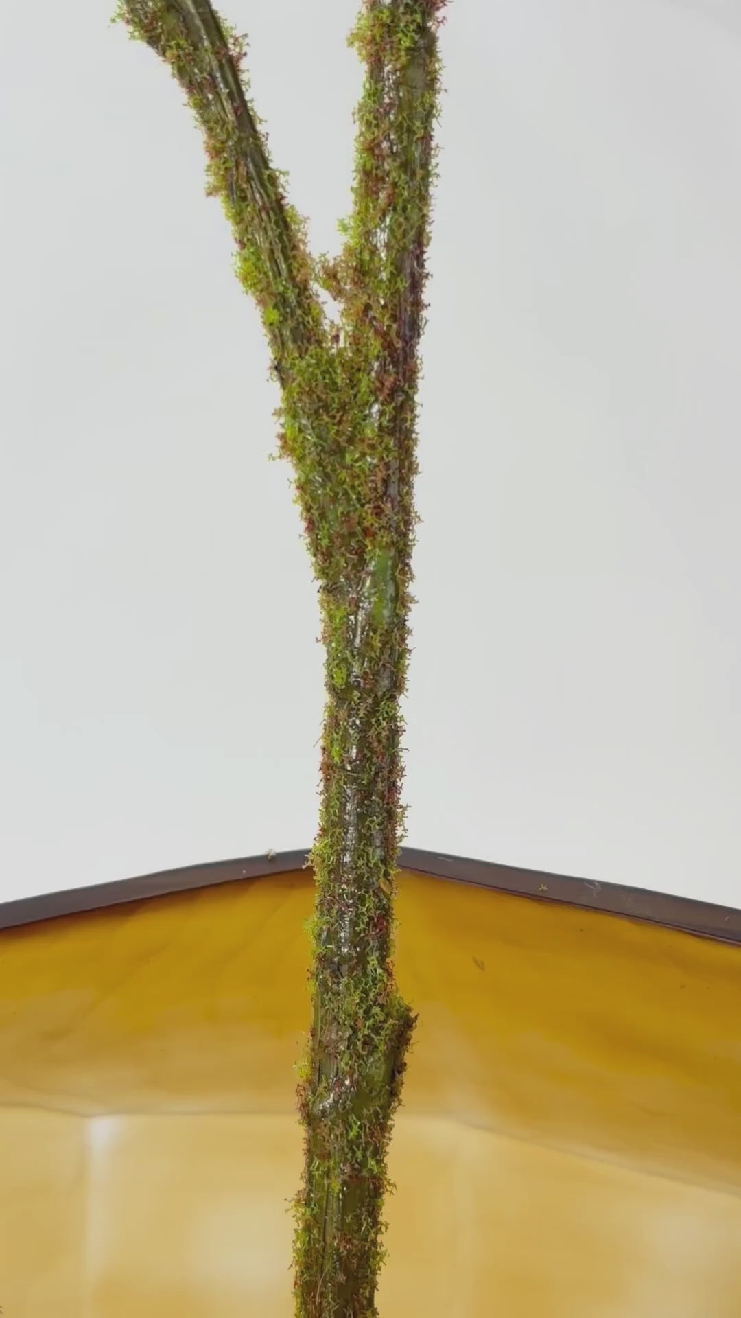 Video laden: Magnolienzweig 122 cm 1 Stk. - Kunstzweig