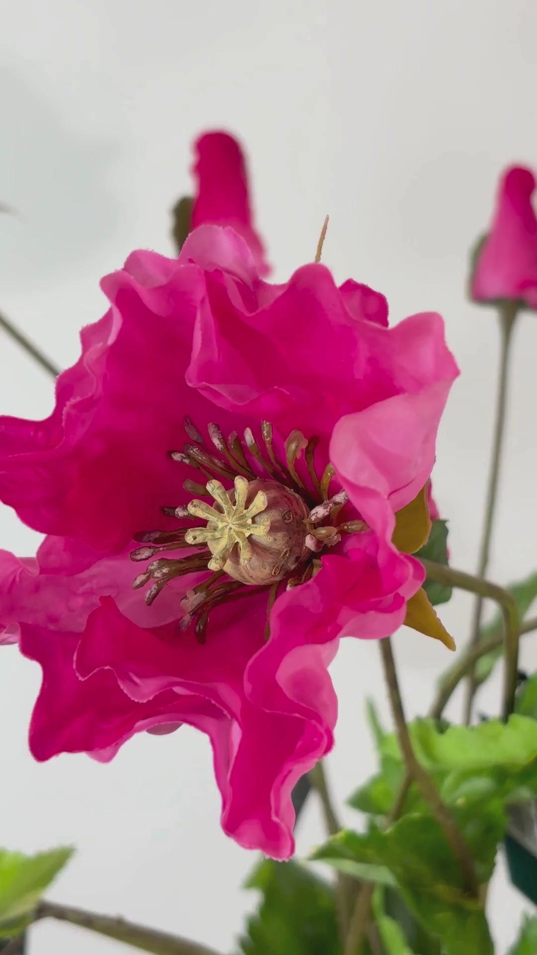 Video laden: Mohnblume 73 cm 1 Stk. - Kunstblume