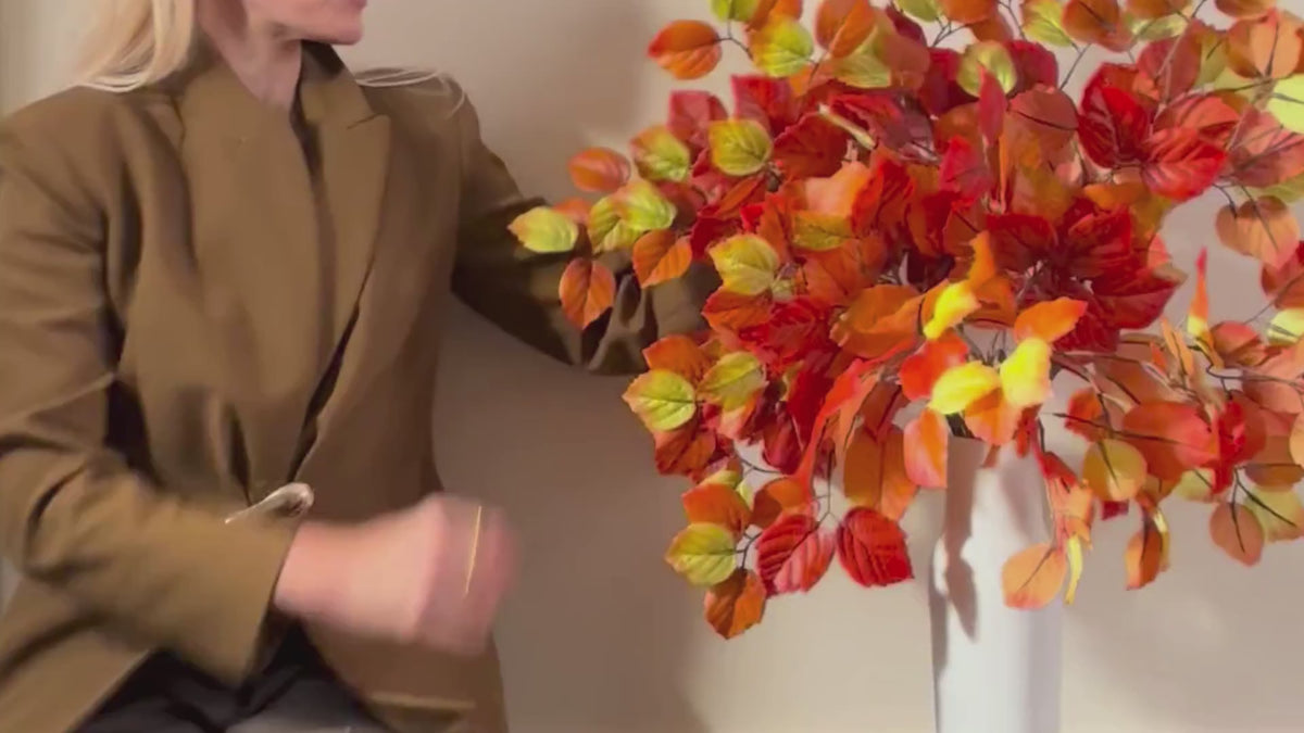 Video laden: 