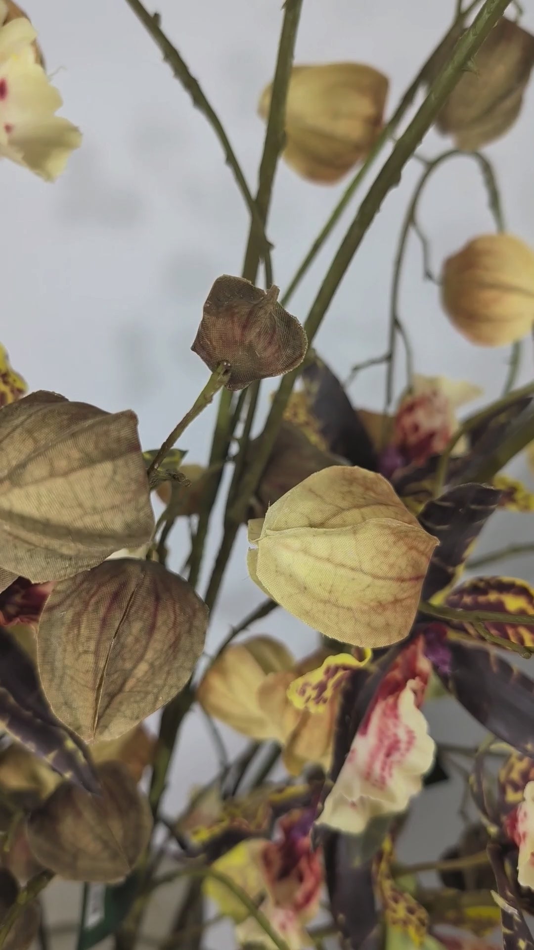 Load video: Physalis branch 125 cm 1 pc. - Artificial branch