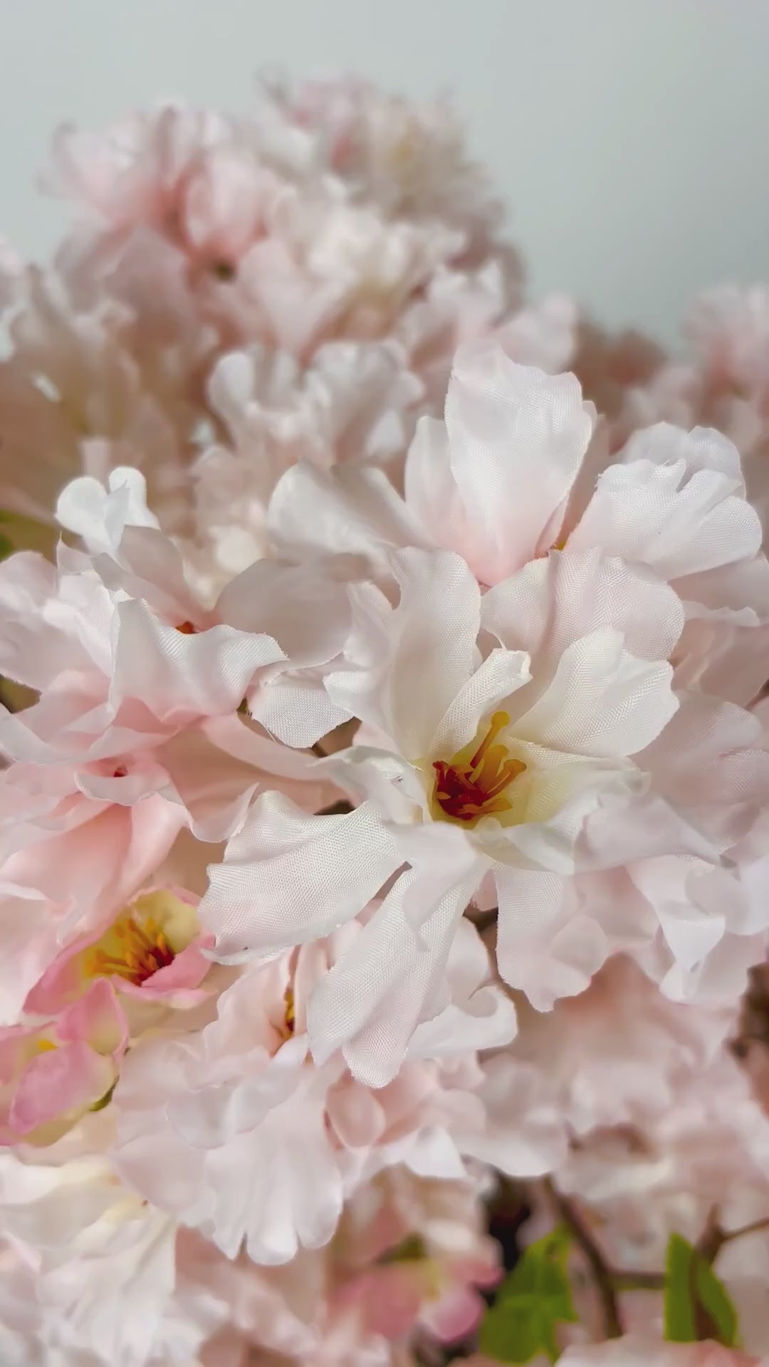 Charger la vidéo : Fleur de cerisier 96 cm 1 pce - Fleur artificielle