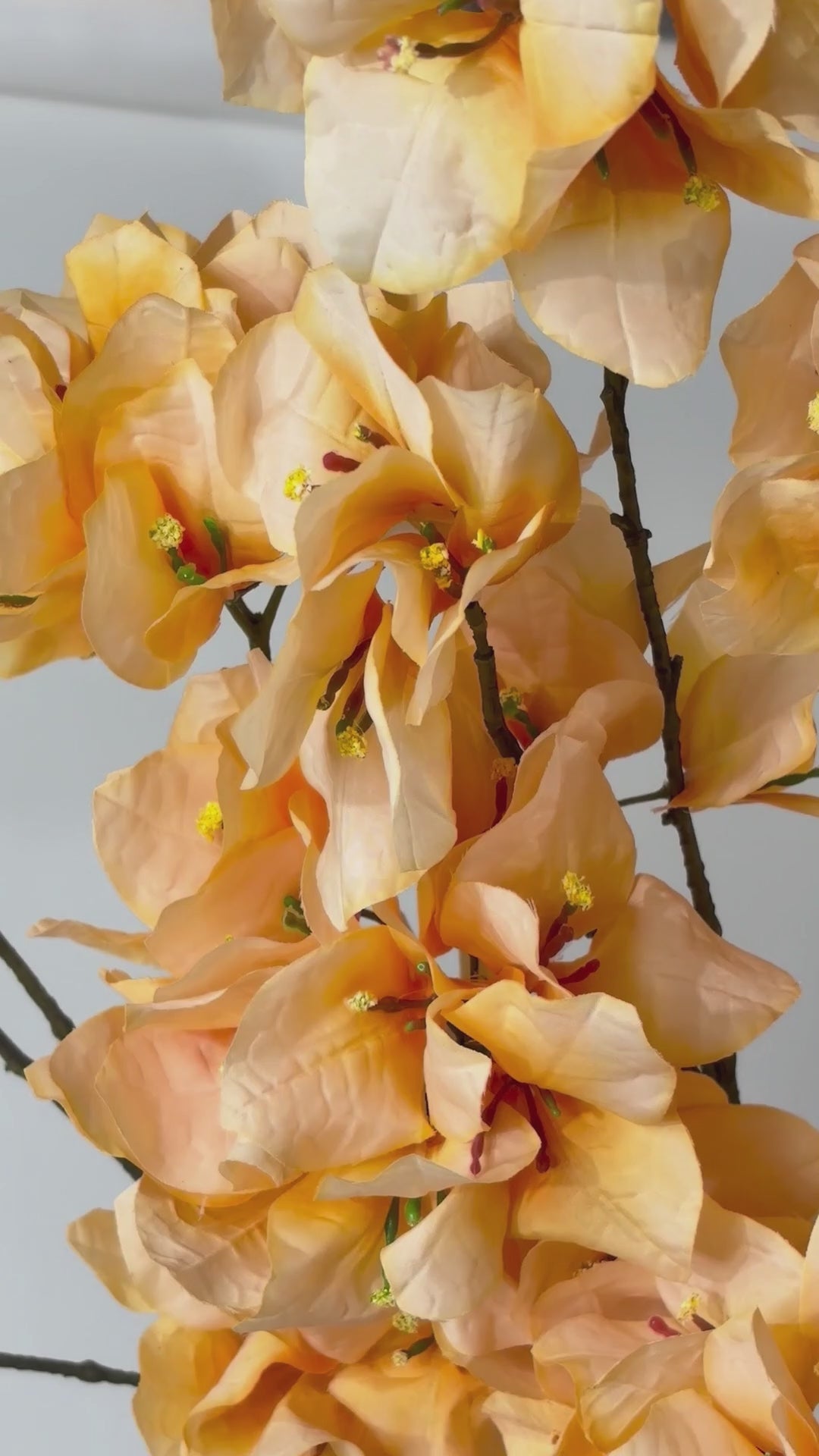 Video laden: Drillingsblume 111 cm 1 Stk. - Kunstzweig