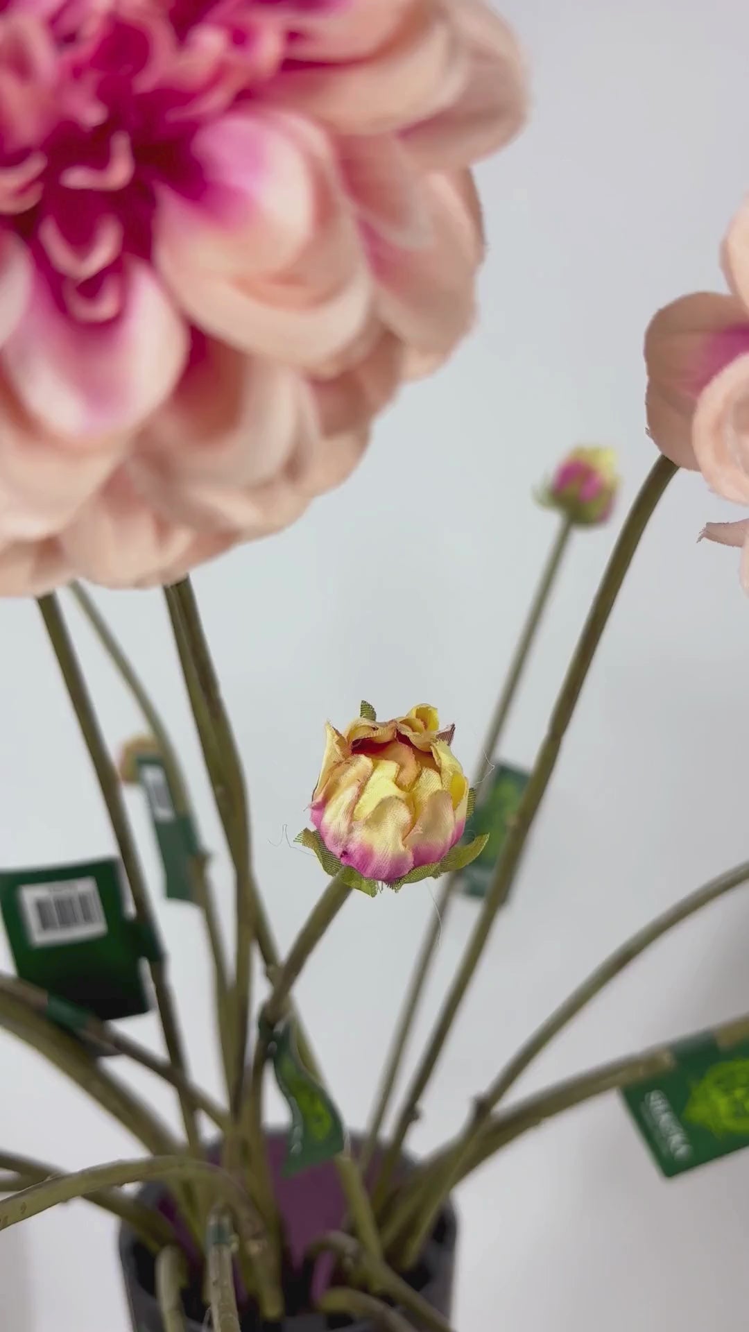 Load video: Dahlia 86 cm 1 pc. - Artificial flower