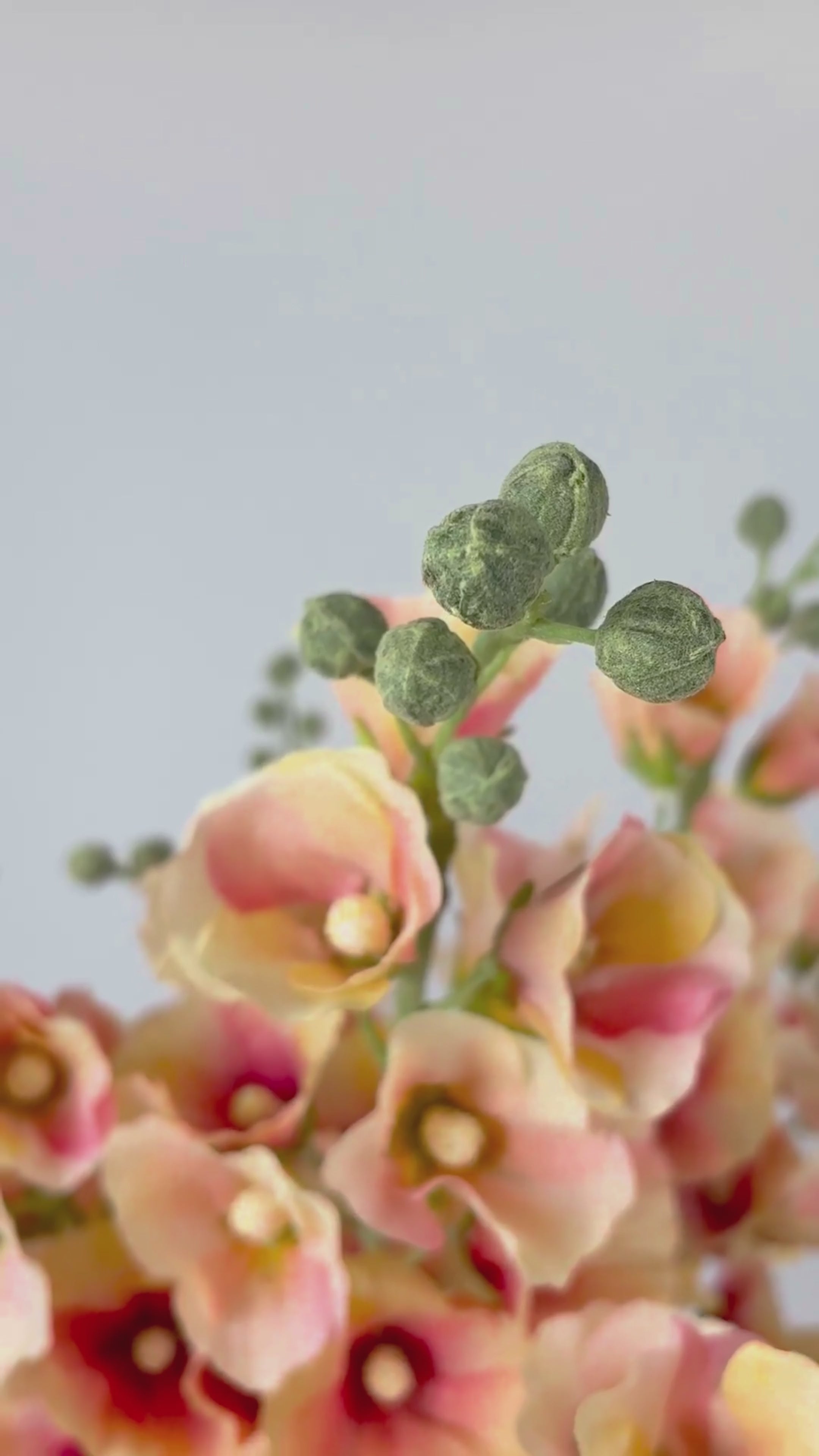 Charger la vidéo : Alcea 105 cm 1 pièce - fleur artificielle 