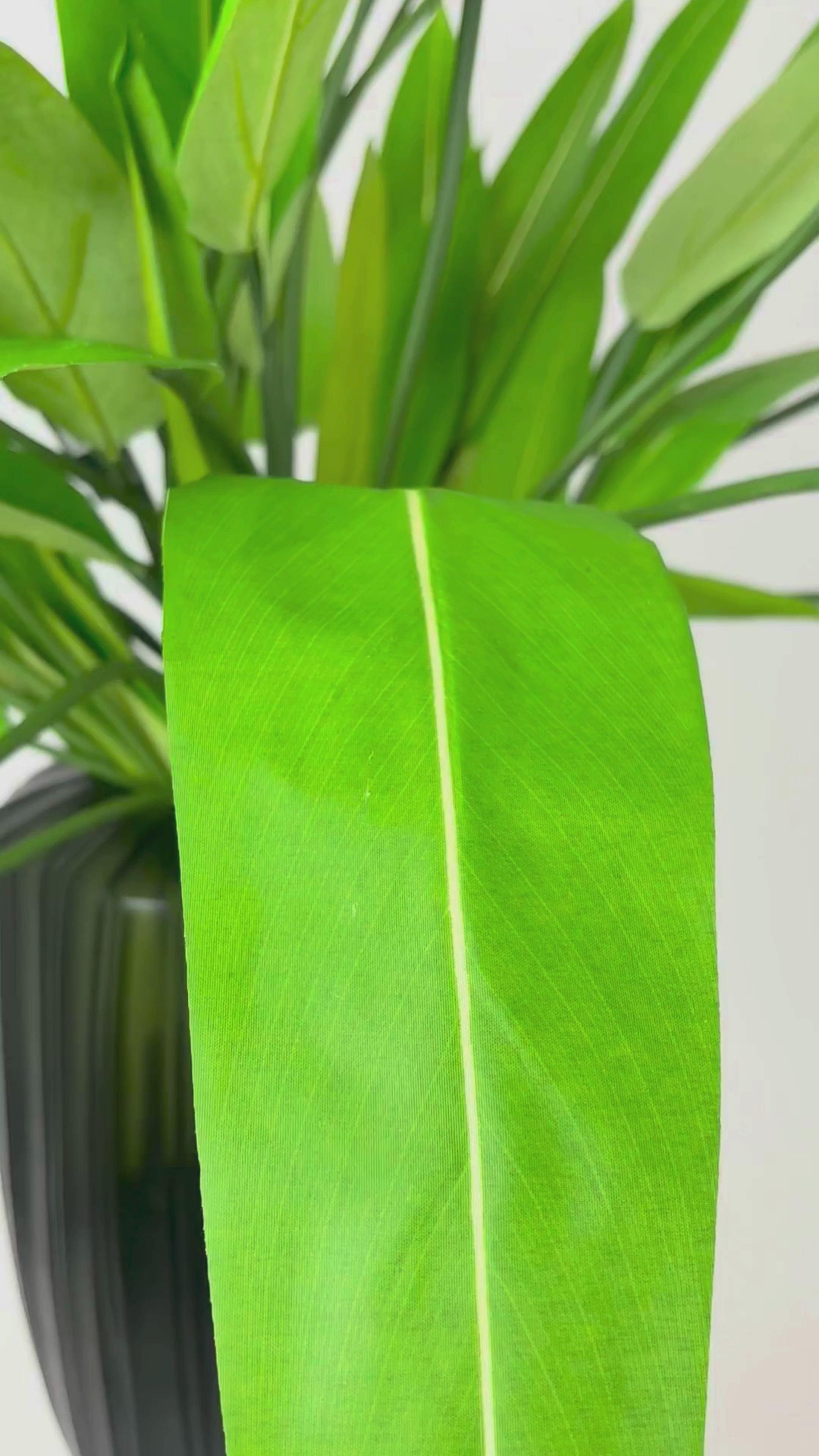 Load video: Strelitzia 105 cm 1 piece - artificial branch