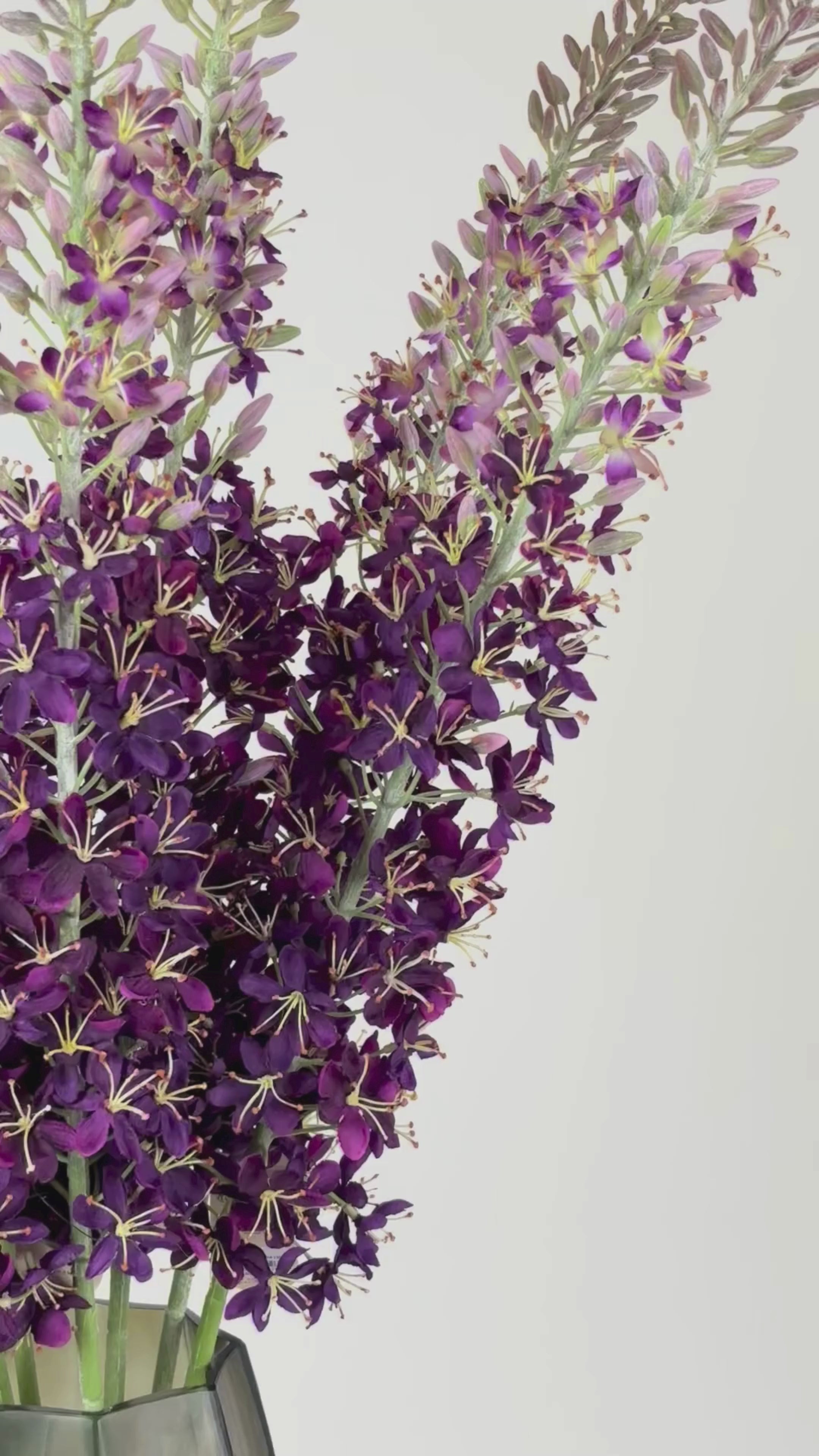 Load video: Foxtail candle 130 cm 1 pc. - artificial flower 