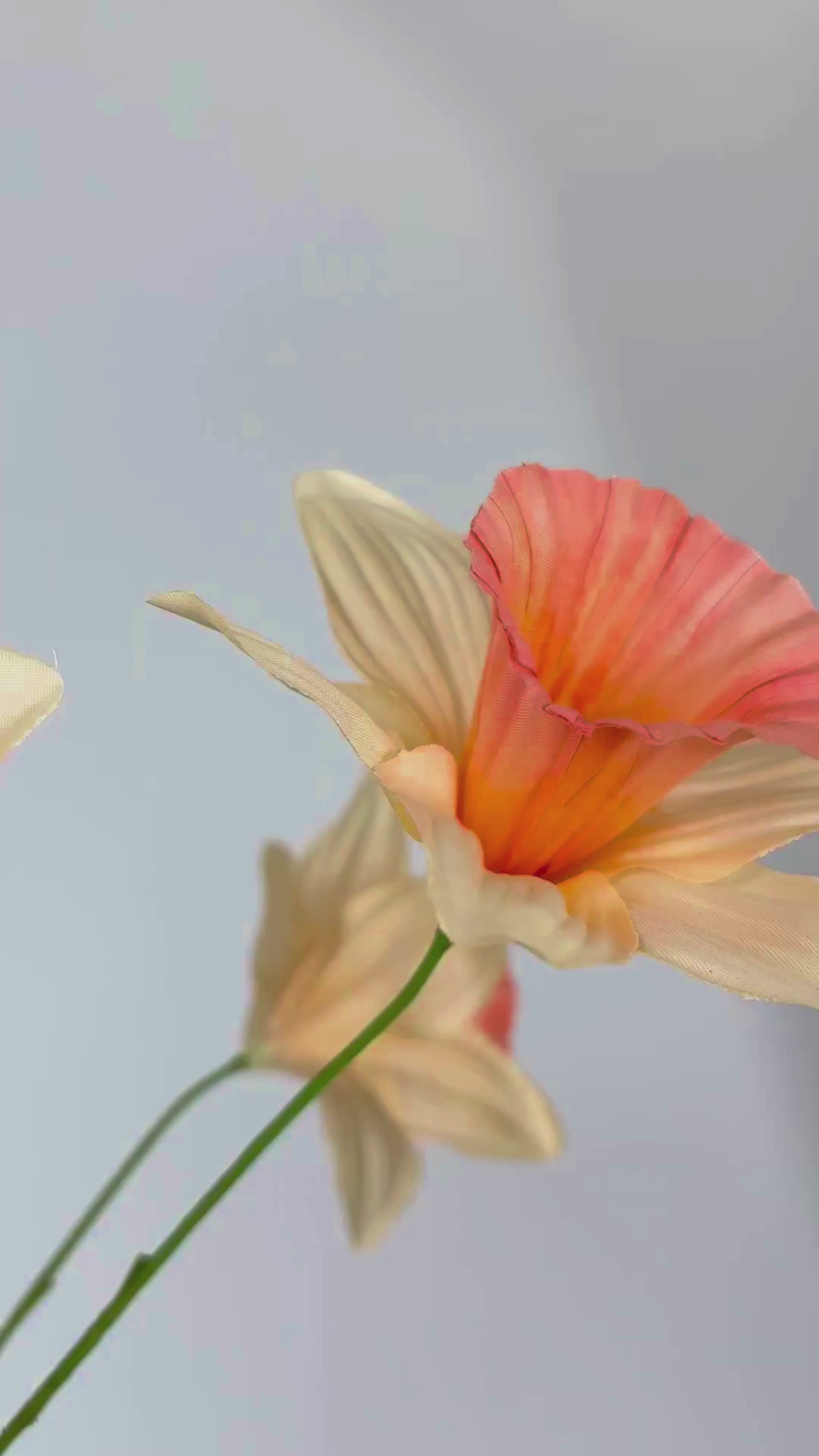 Video laden: Narzisse 100 cm 1 Stk. - Kunstblume