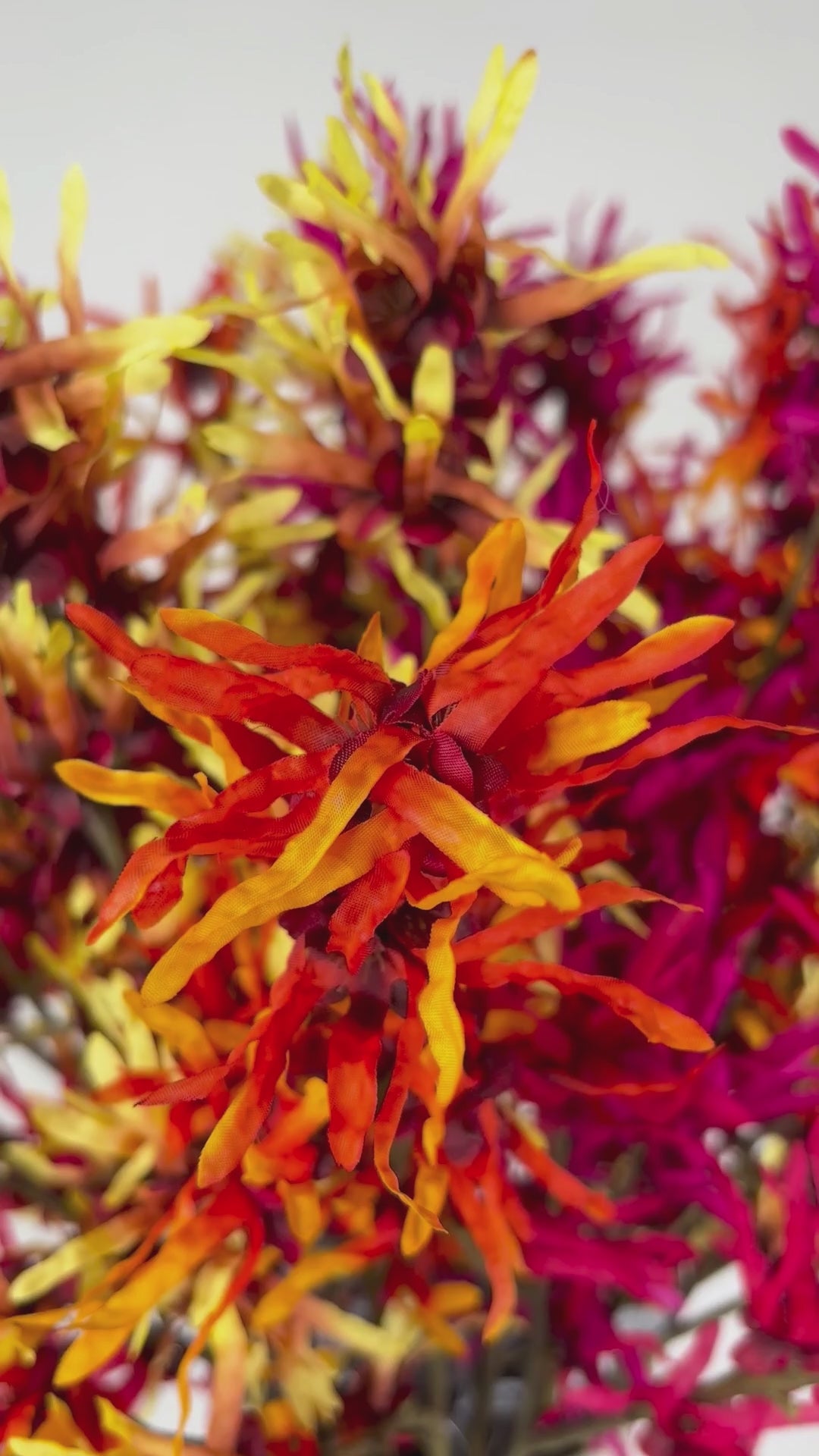 Video laden: Zaubernuss 76 cm 1 Stk. - Kunstblume