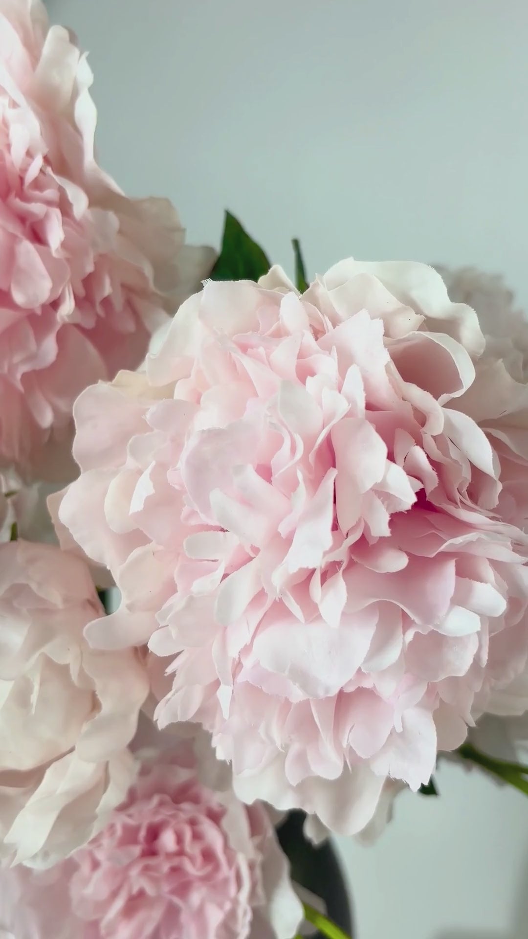 Video laden: Pfingstrose 80 cm 1 Stk. - Kunstblume