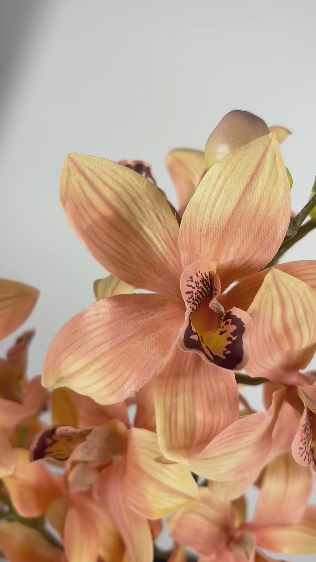 Video laden: Orchidee 92 cm 1 Stk. - Kunstblume