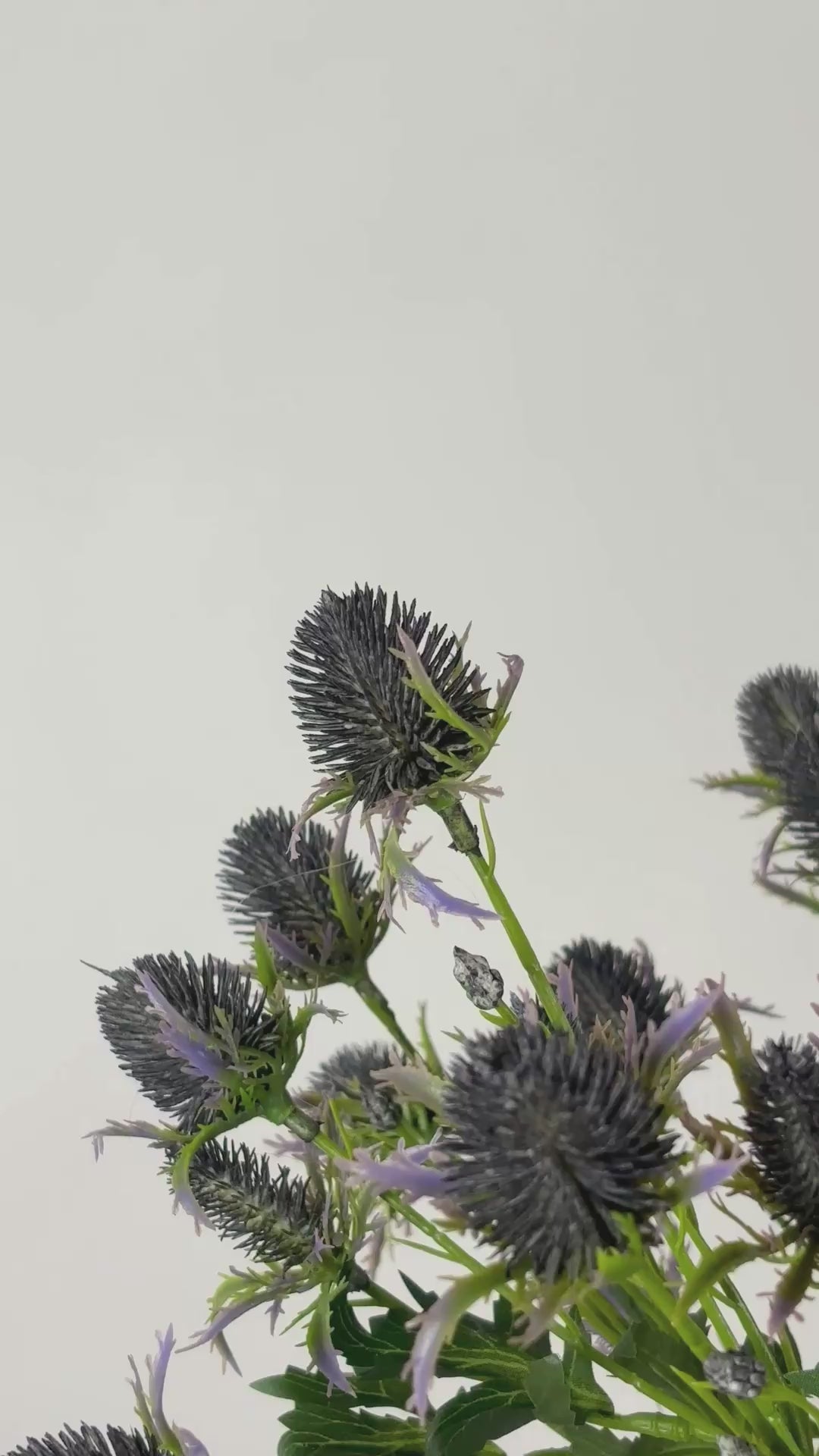 Video laden: Eryngium-Zweig 68 cm 1 Stk. - Kunstzweig