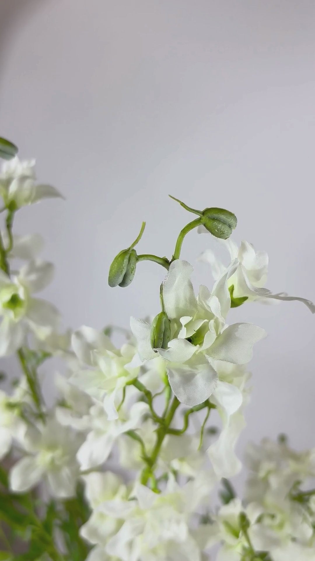 Video laden: Rittersporn 101 cm 1 Stk. - Kunstblume