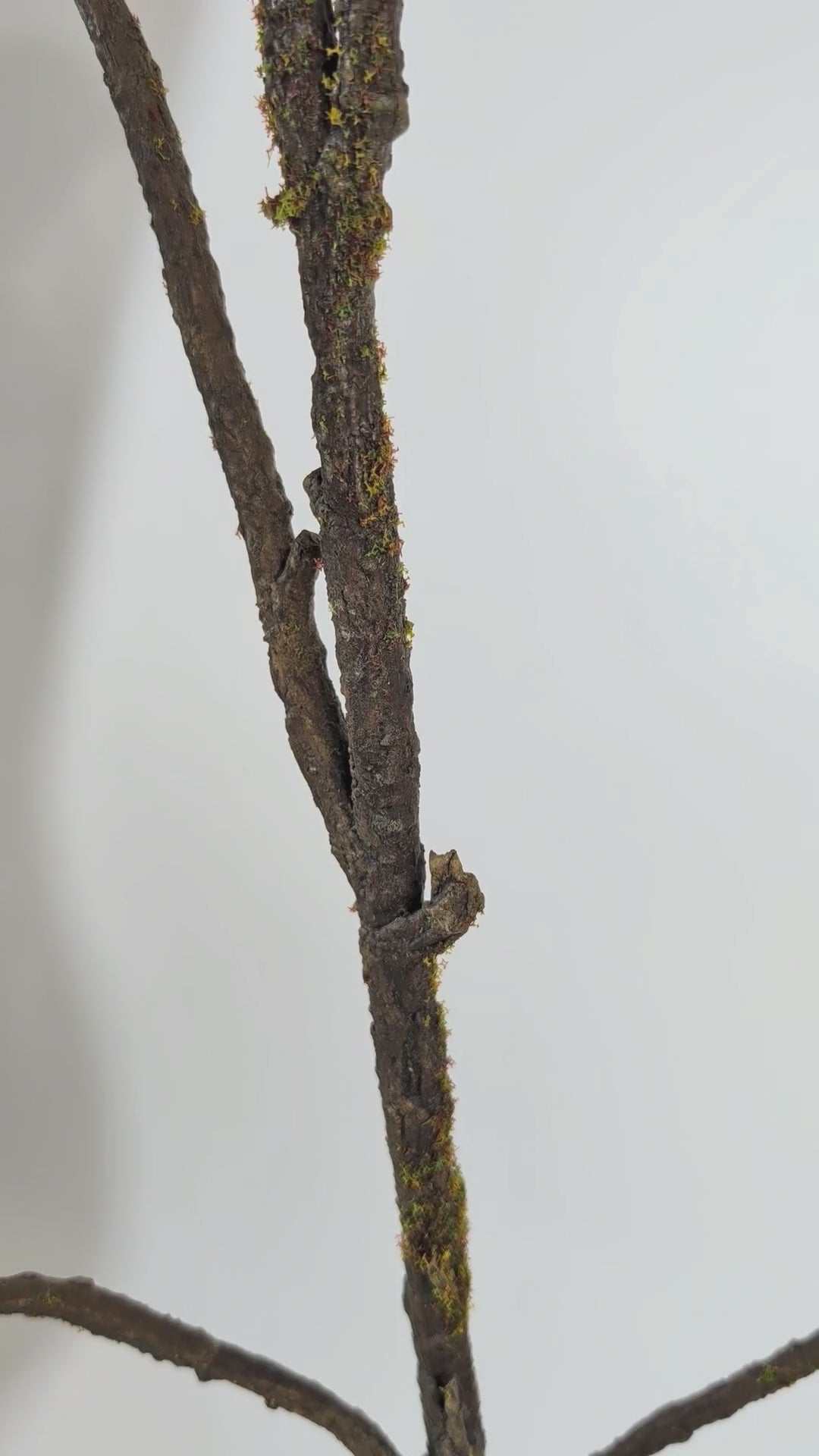 Load video: Leaf Branch 161 cm 1 pc. - Artificial Branch