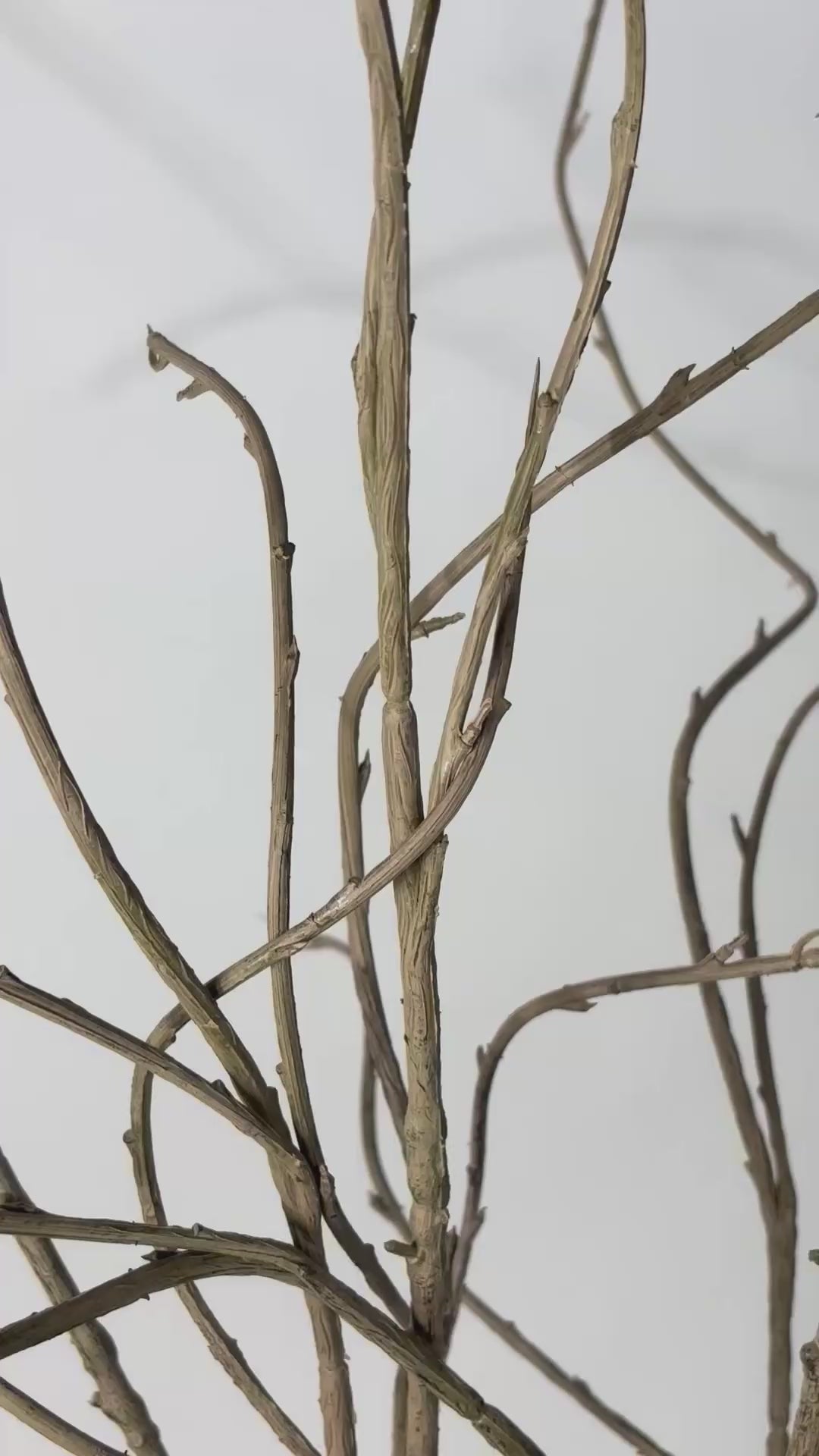 Charger la vidéo : Branche de saule 134 cm 1 pc. - Branche artificielle