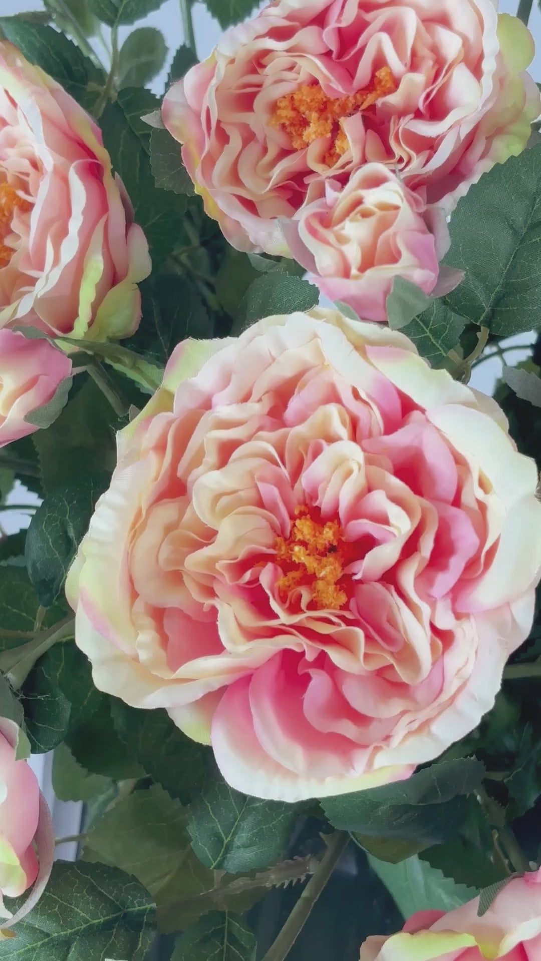 Load video: Rose 80 cm 1 pc. - Artificial flower