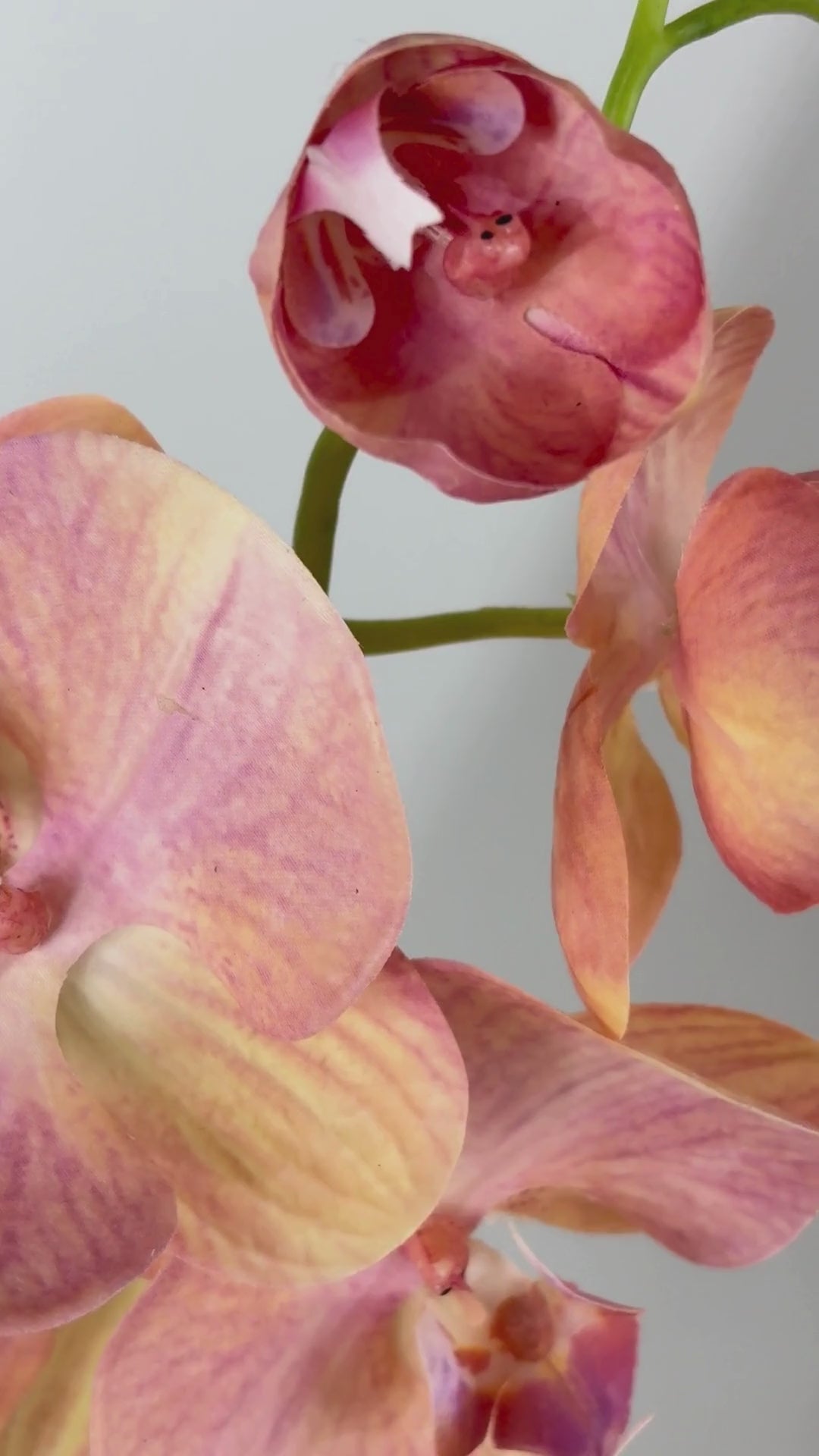 Charger la vidéo : Orchidée 80 cm 1 pièce - Fleur artificielle 