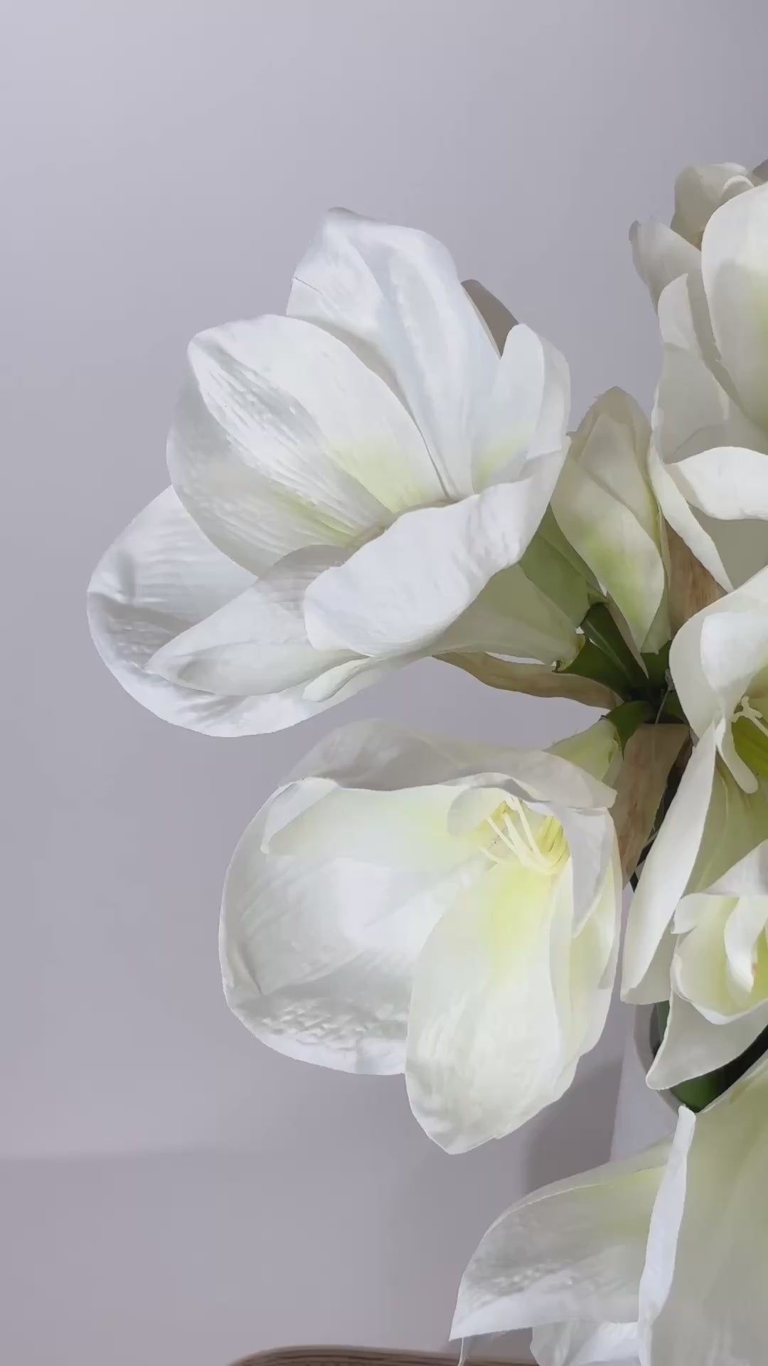 Load video: Amaryllis 79 cm 1 pc. - Artificial Flower