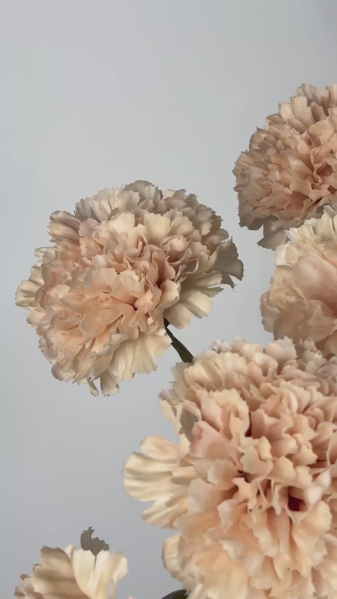 Load video: Carnation 55 cm 1 pc. - Artificial Flower