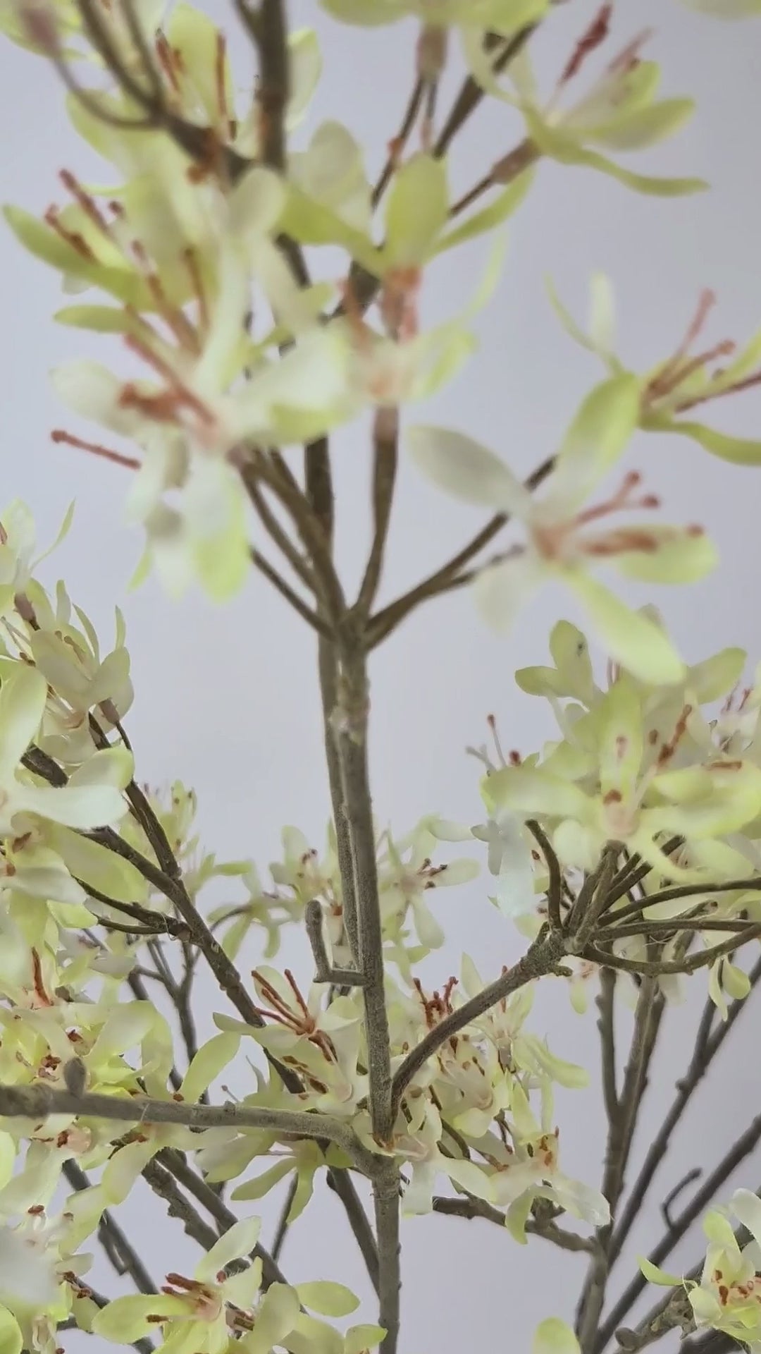 Charger la vidéo : Branche fleurie 113 cm 1 pc - Branche artificielle