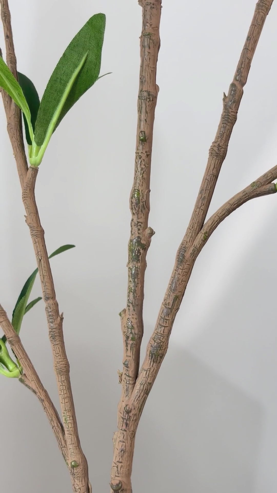 Charger la vidéo : Branche d'olivier 156 cm 1 pce - Branche artificielle